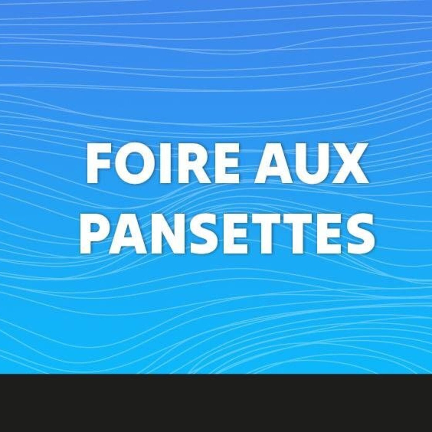 Foire aux Pansettes - 12 Octobre 2025 - AC DCU