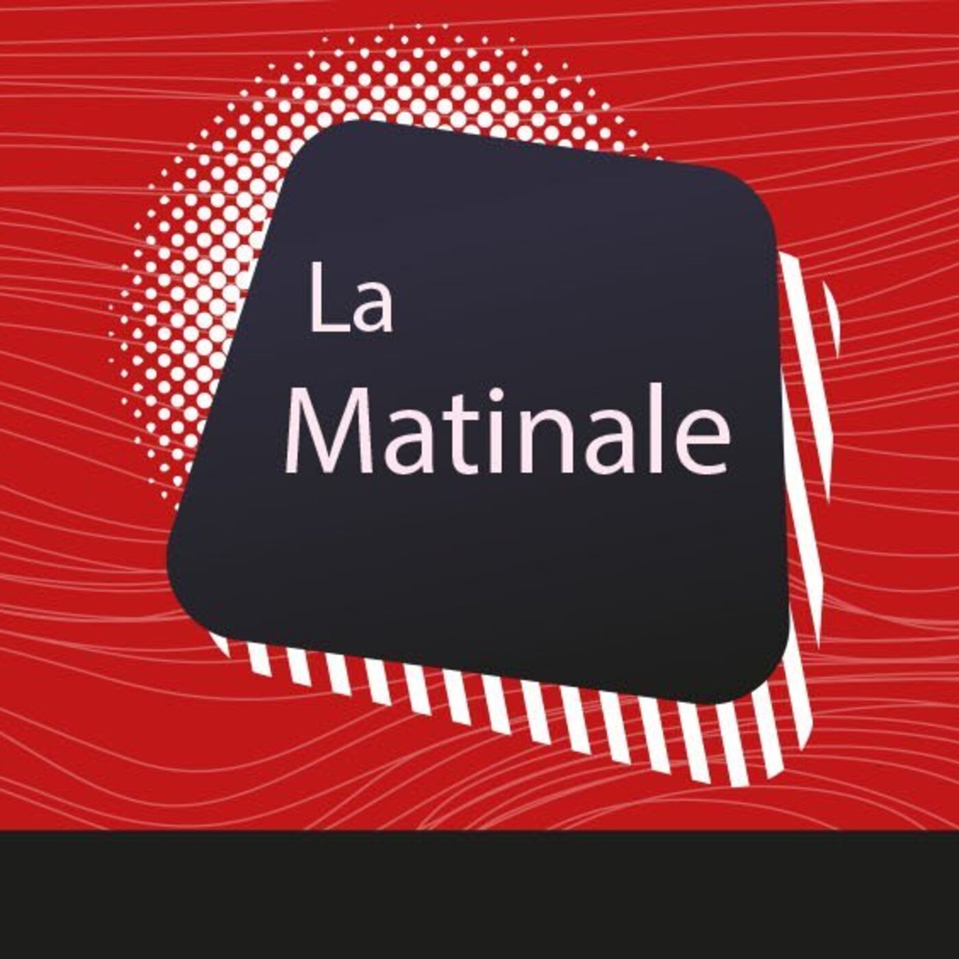 La matinale - Pas si bête (Le Loup) - 12 Décembre 2025