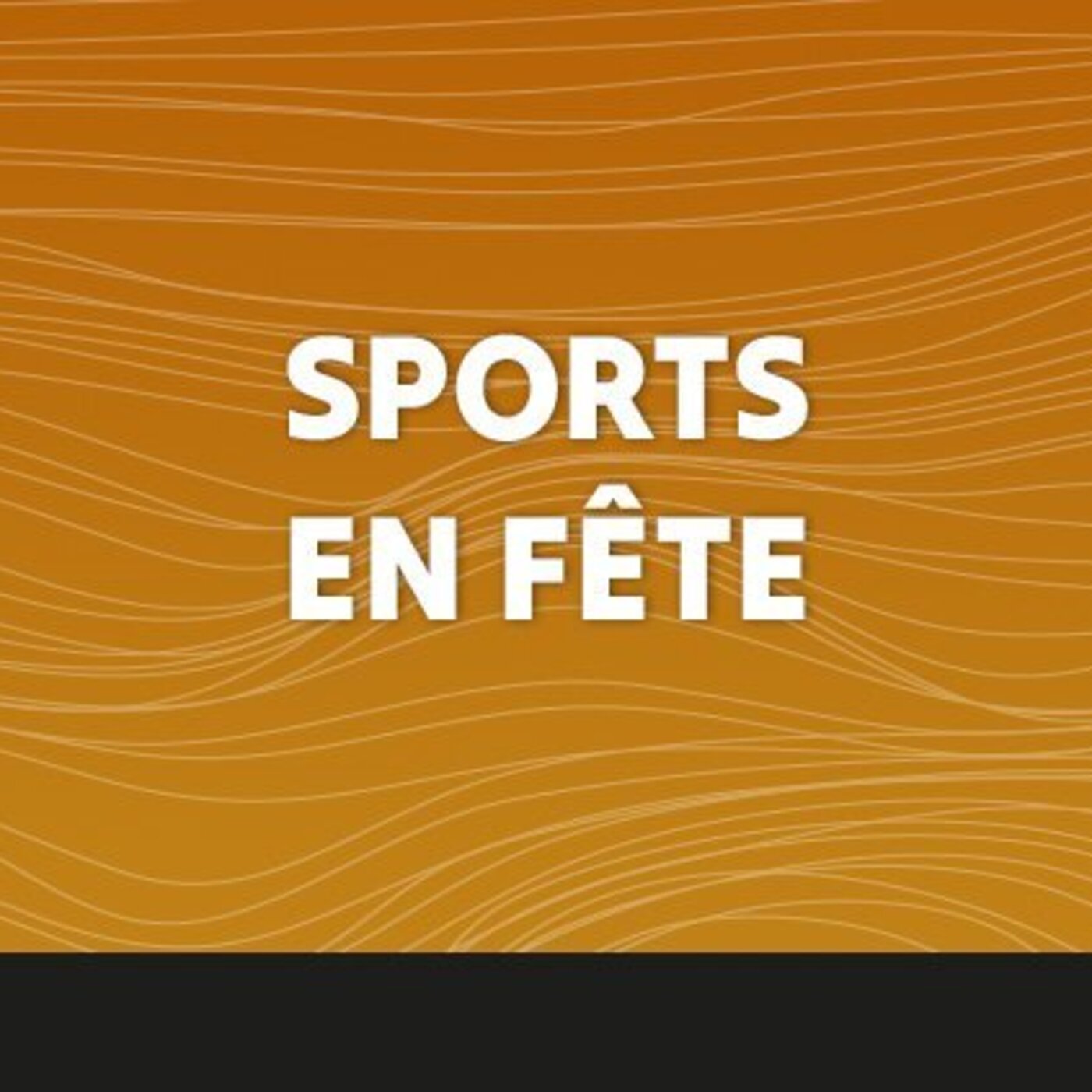 Sports en fête - 05 Février 2026
