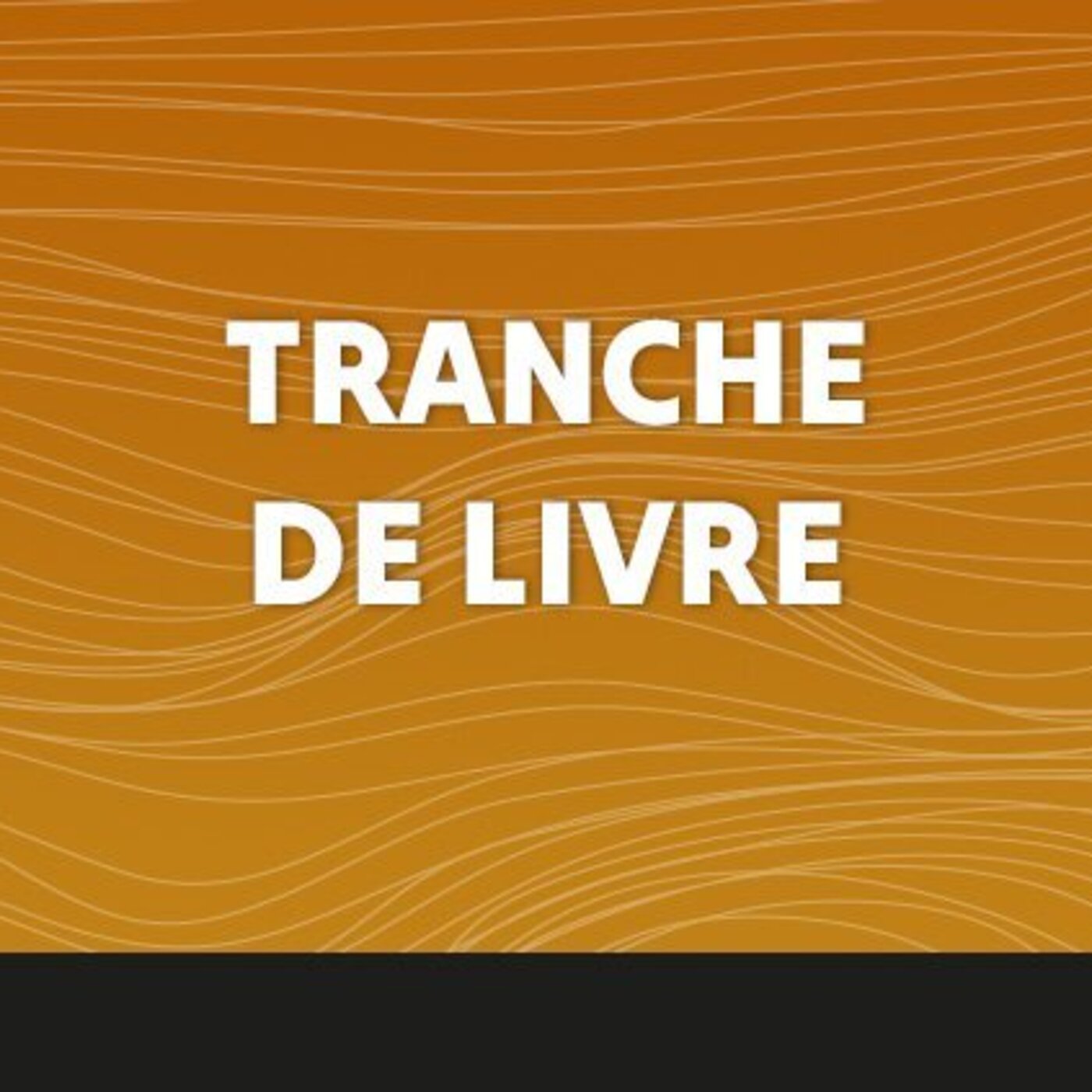 Tranche de livre -19 Mai 2025