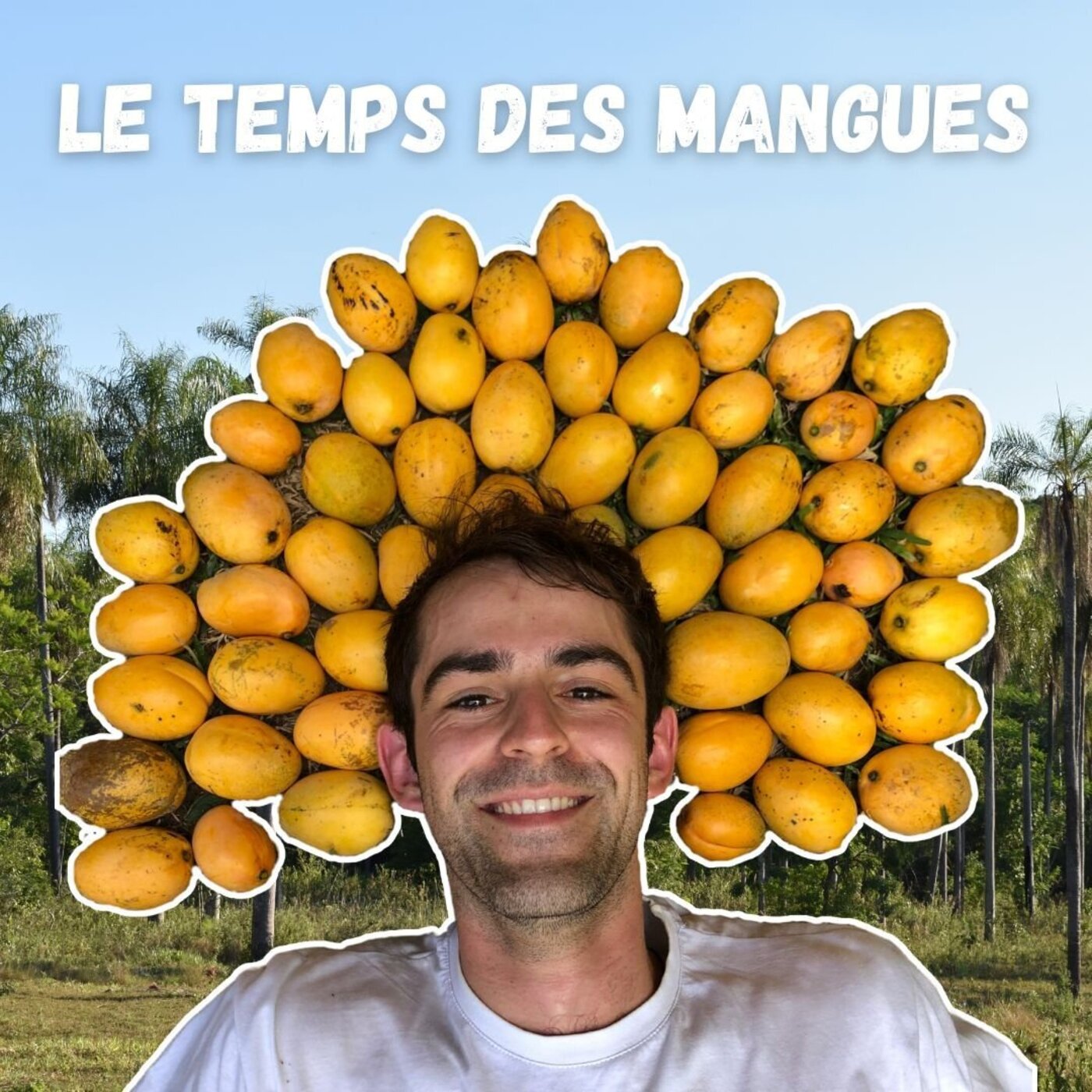 Le temps des mangues