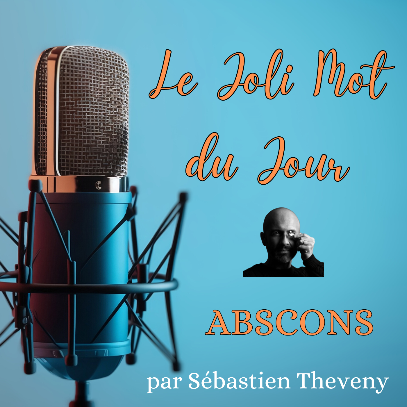 JMJ - Le Joli Mot du Jour - par Sébastien Theveny