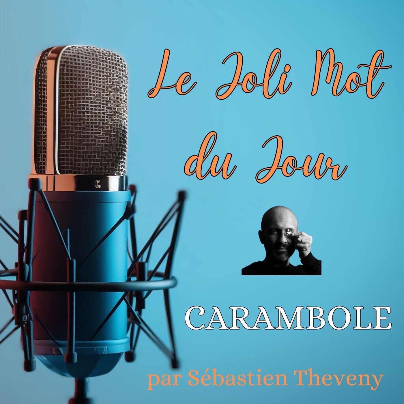 JMJ - Le Joli Mot du Jour - par Sébastien Theveny