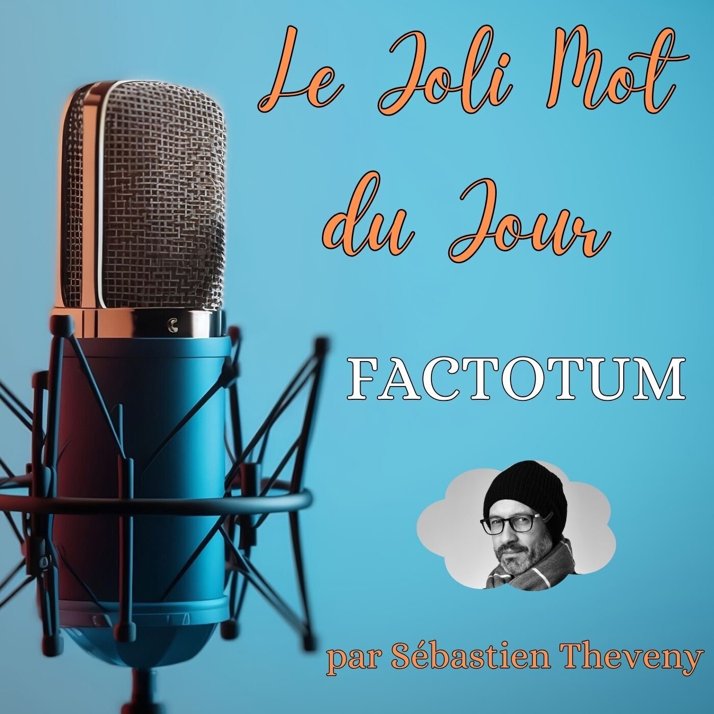 JMJ - Le Joli Mot du Jour - par Sébastien Theveny