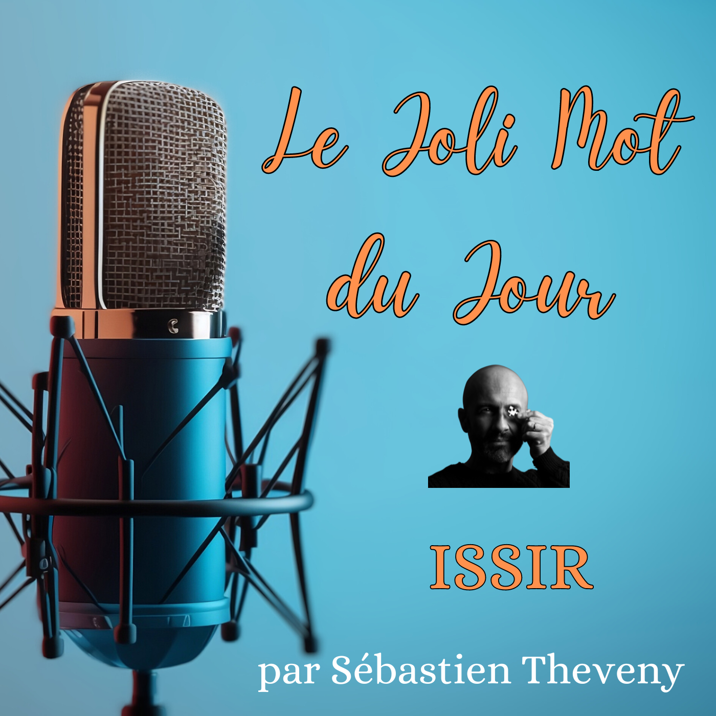 JMJ - Le Joli Mot du Jour - par Sébastien Theveny