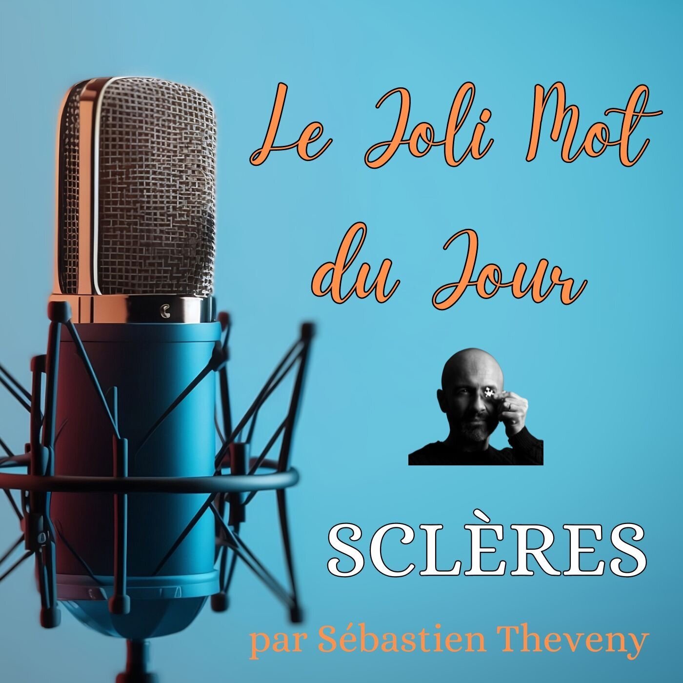 JMJ - Le Joli Mot du Jour - par Sébastien Theveny