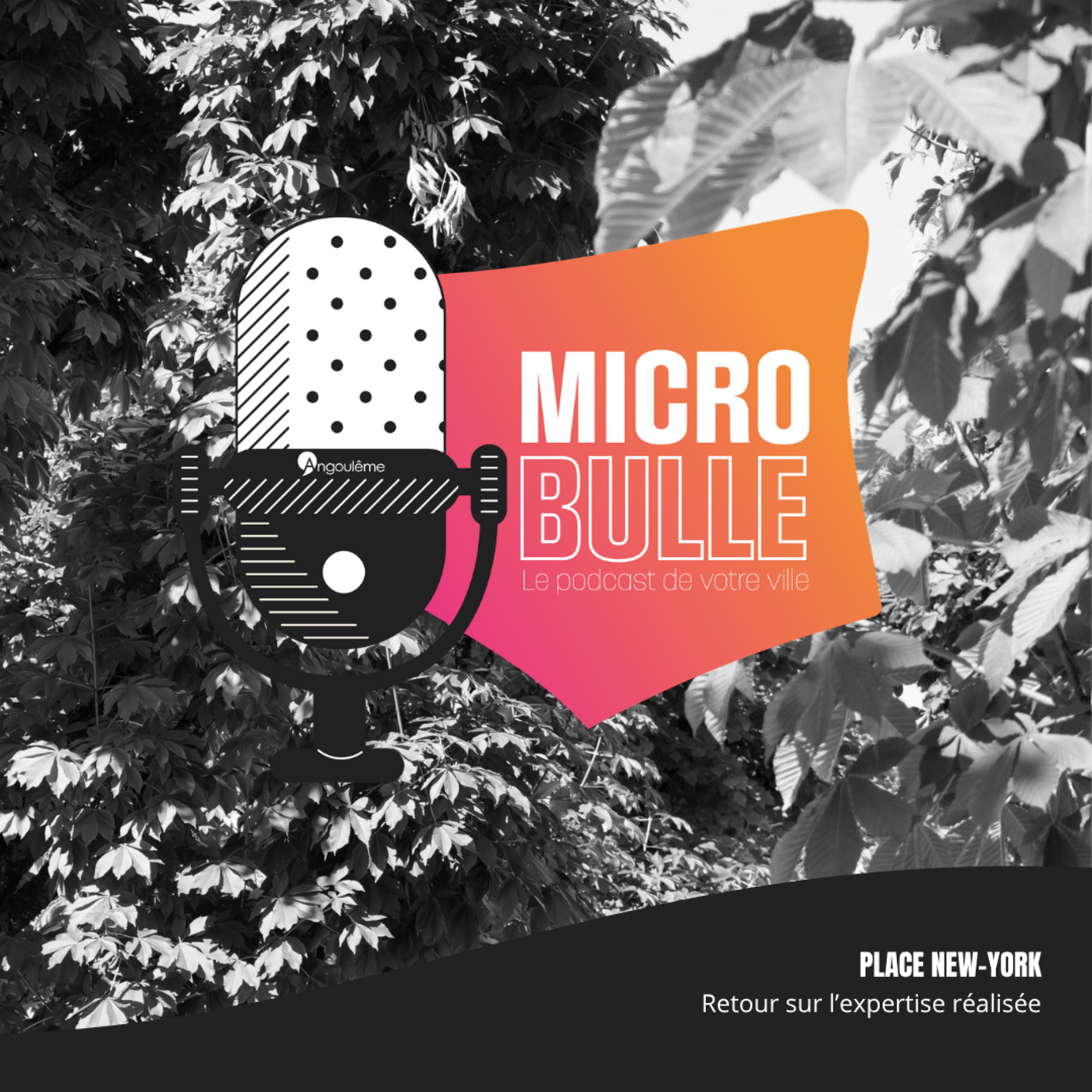 Micro Bulle #23 - Place New-York : retour sur l’expertise réalisée