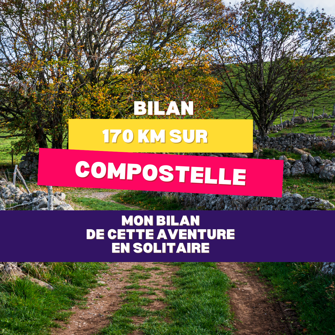 Témoignage de mon solo trip sur Compostelle en Alsace