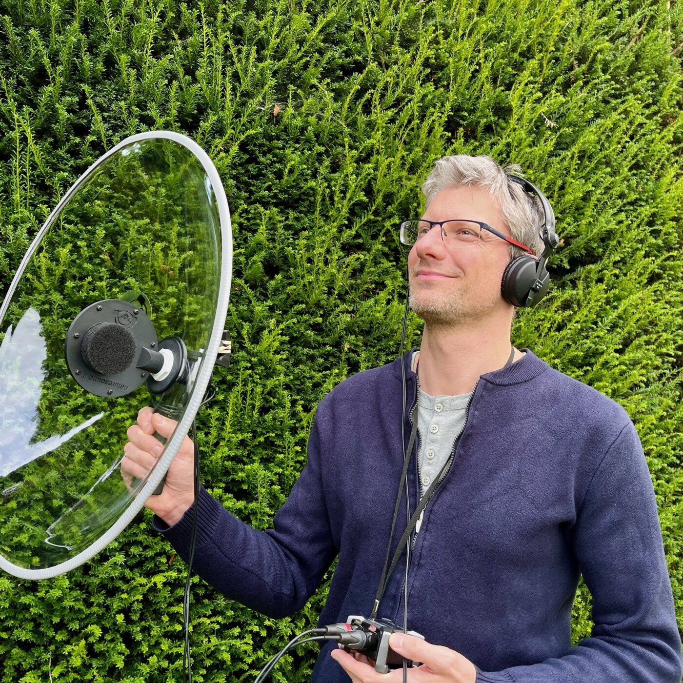 curiosites sonores #58 - vaches des montagnes vs vaches des campagnes