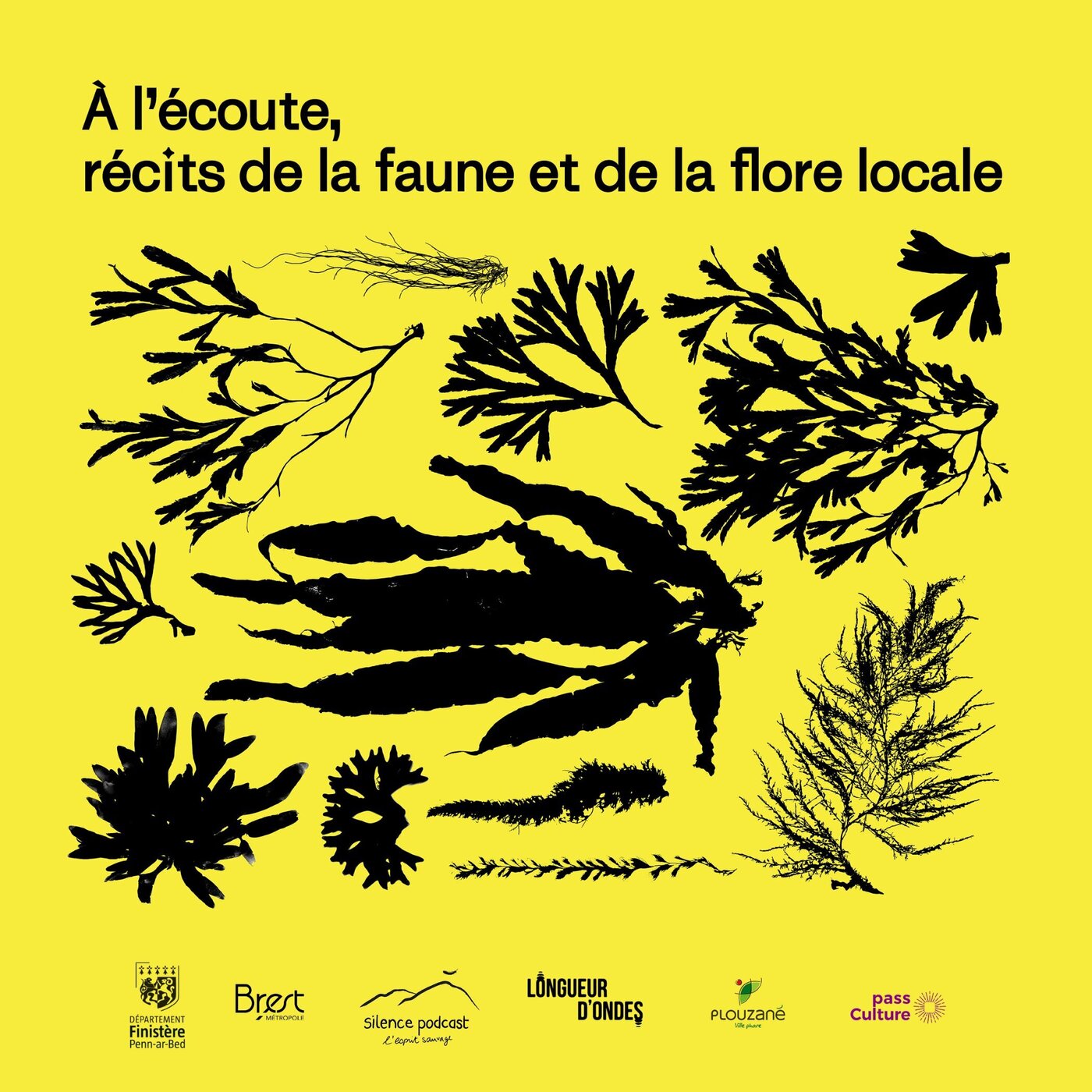 À l'écoute, récits de la faune et de la flore locale