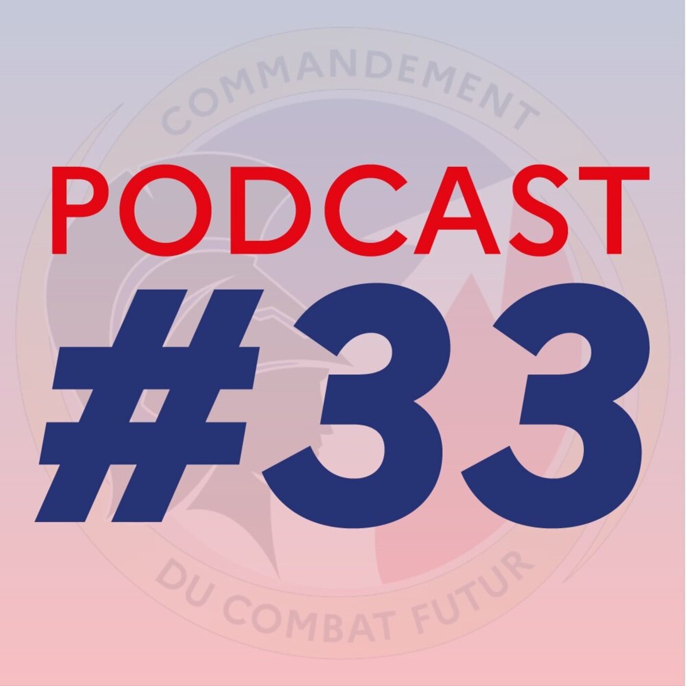 #33 - Entretien avec le général Baratz : point de situation du CCF