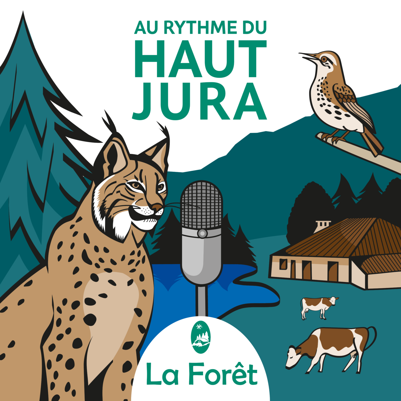 Chouette, des oiseaux de nuit !