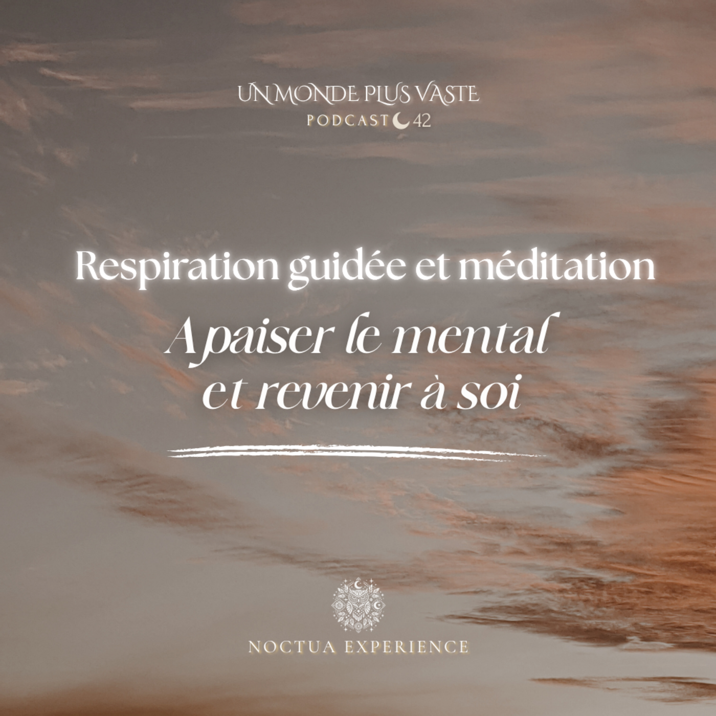 Apaiser le mental et revenir à soi (Respiration guidée et Méditation)