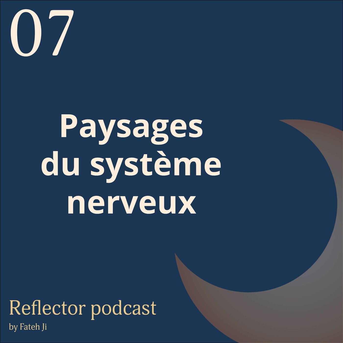 #7 Paysages du Système nerveux