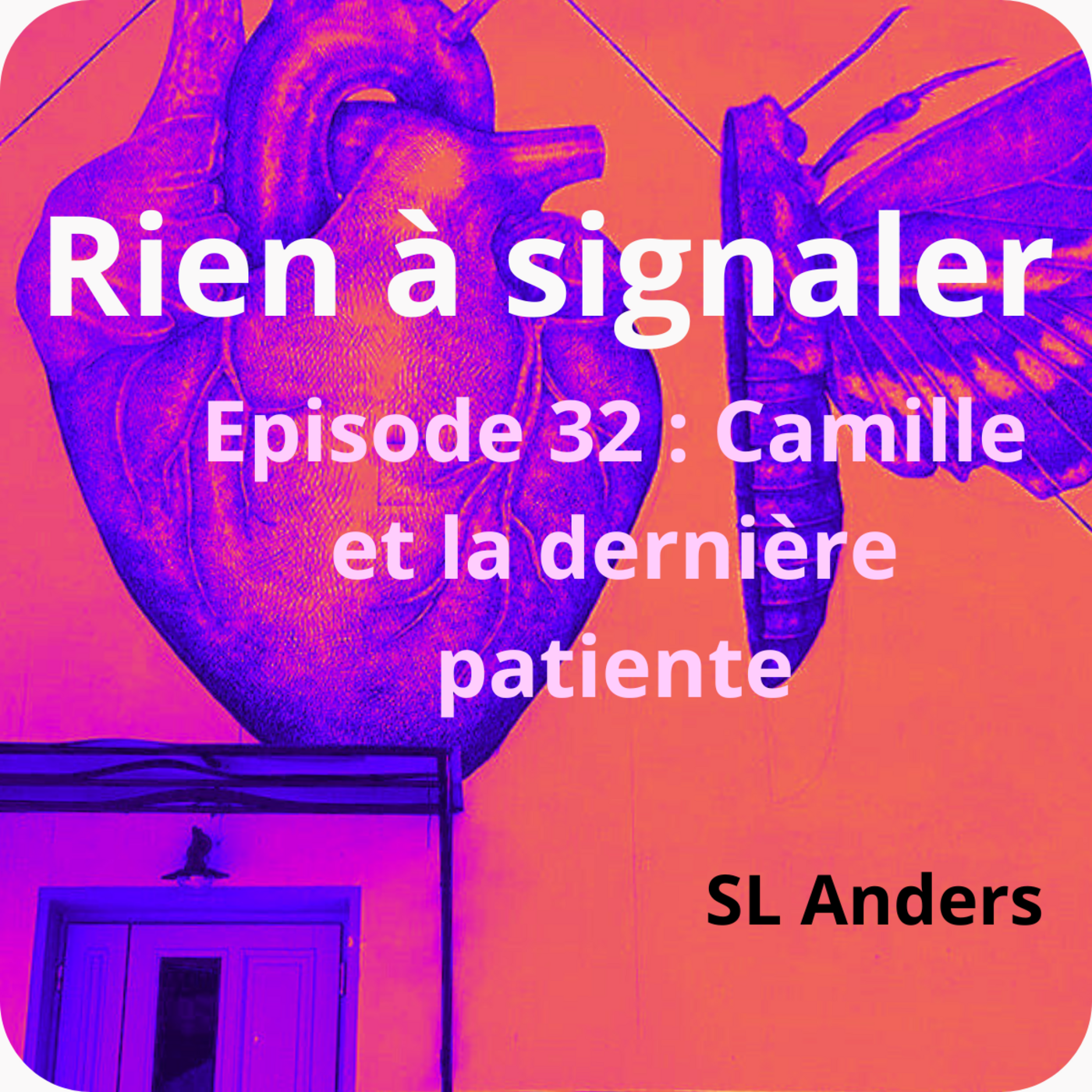 Camille et la dernière patiente