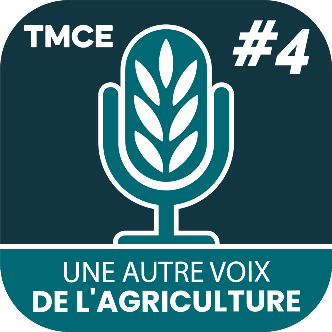 Thomas et Nicolas : Réduire les intrants en restant performant grâce au duo variété–fertilisation