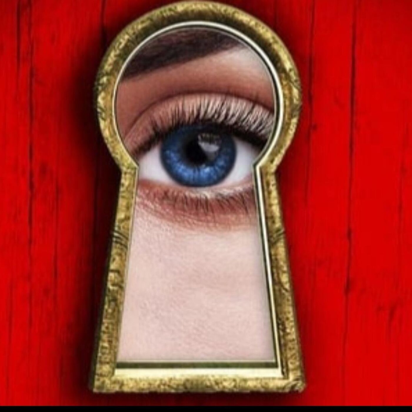 LES SECRETS DE LA FEMME DE MÉNAGE | LA FEMME DE MÉNAGE TOME 2 DE FREIDA MCFADDEN