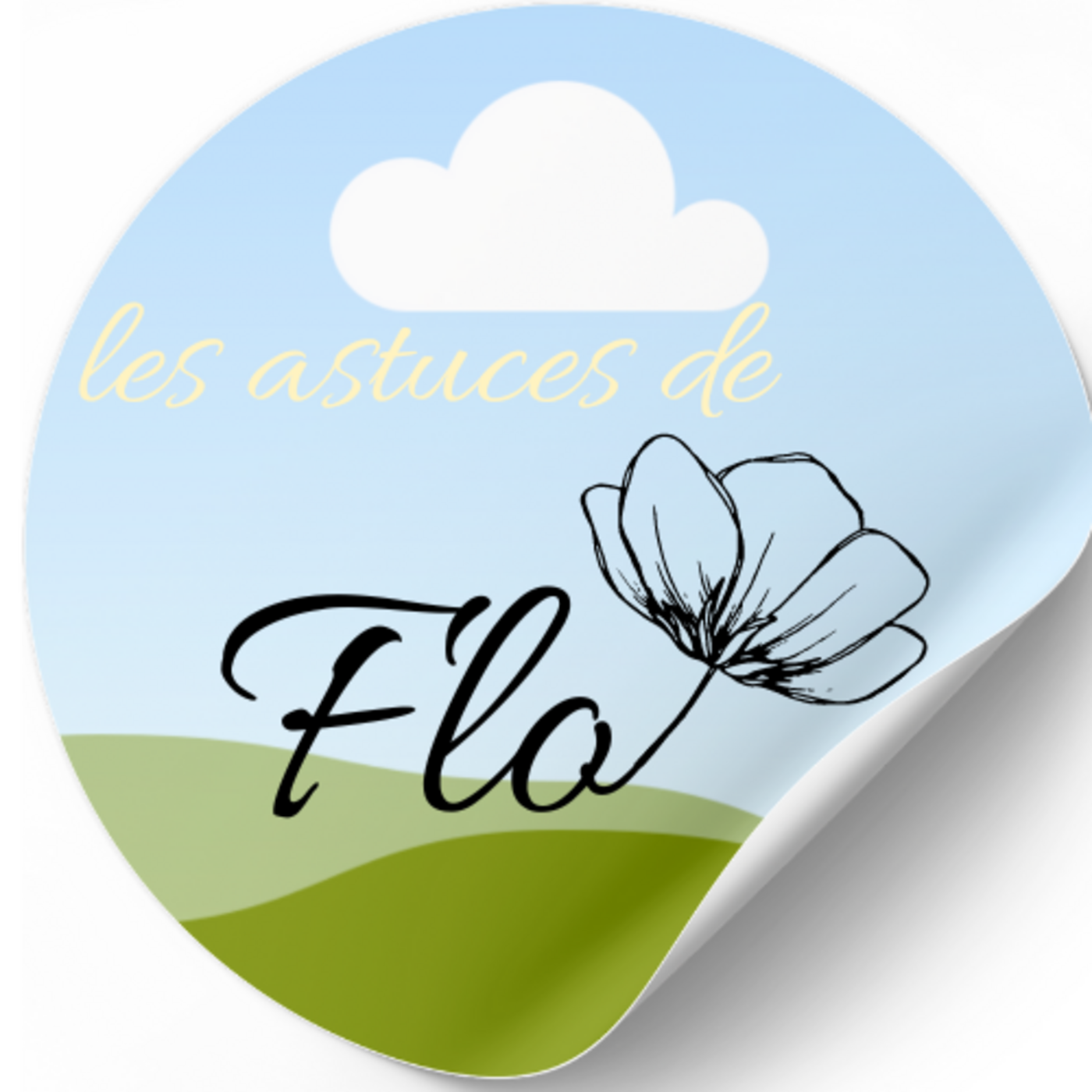 LES ASTUCES DE FLO