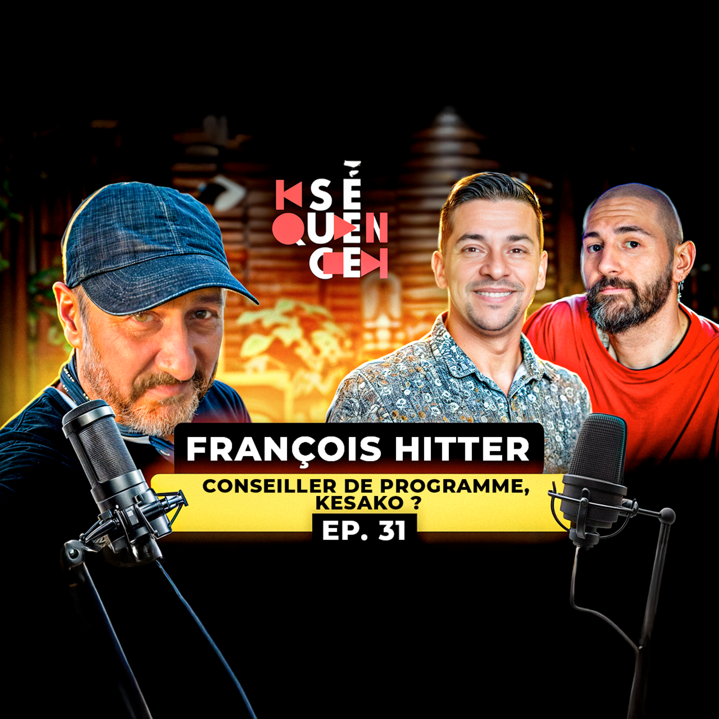 SÉQUENCE 31 – FRANCOIS HITTER : UN CONSEILLER DE PROGRAMMES DE FRANCE TV NOUS OUVRE LES PORTES