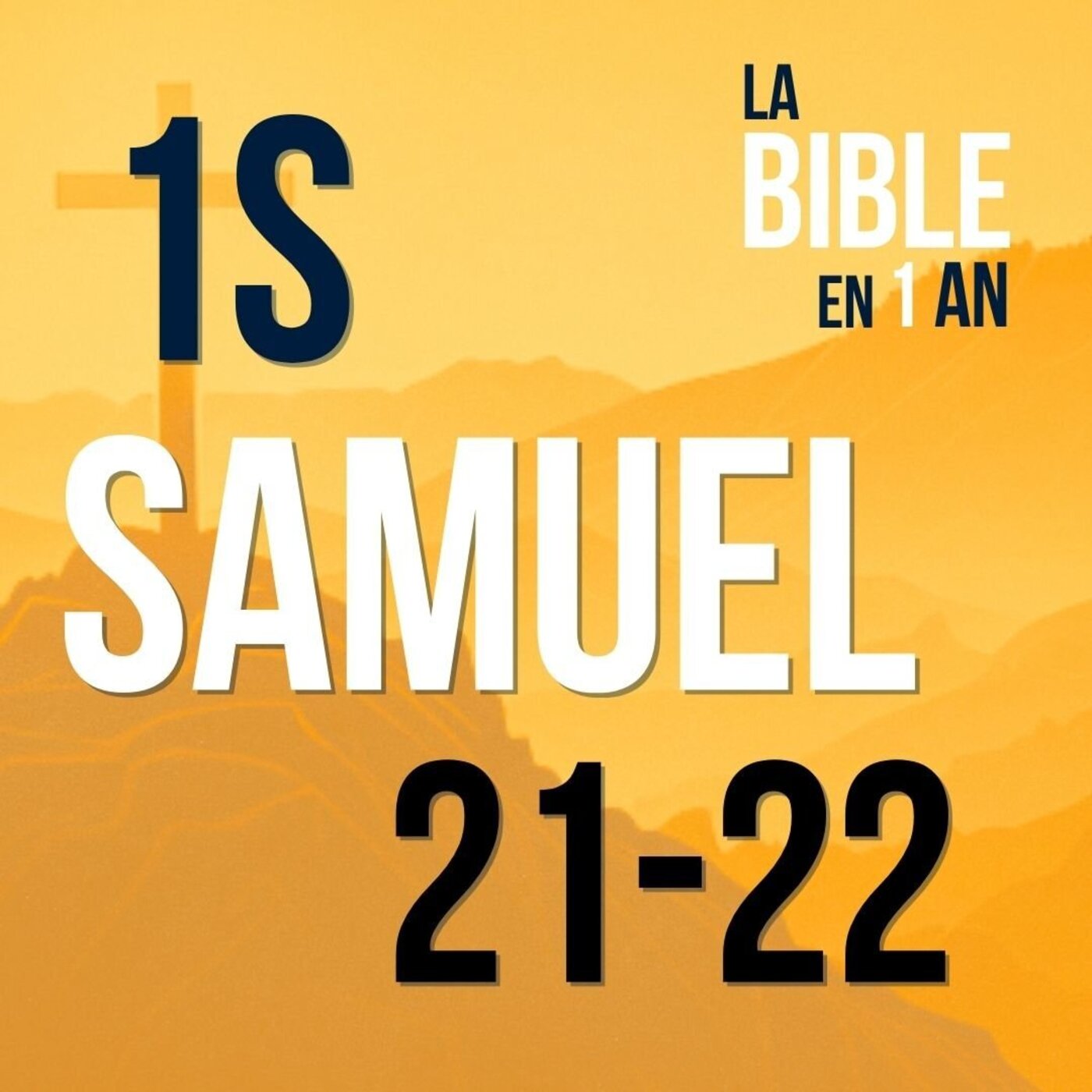 J114 - David en fuite : entre survie et trahison - matin ☼