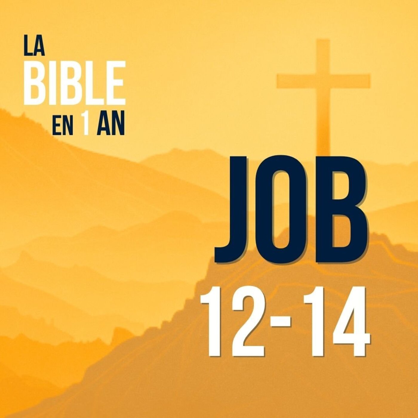 J12 - Un cri d'innocence - soir ☾