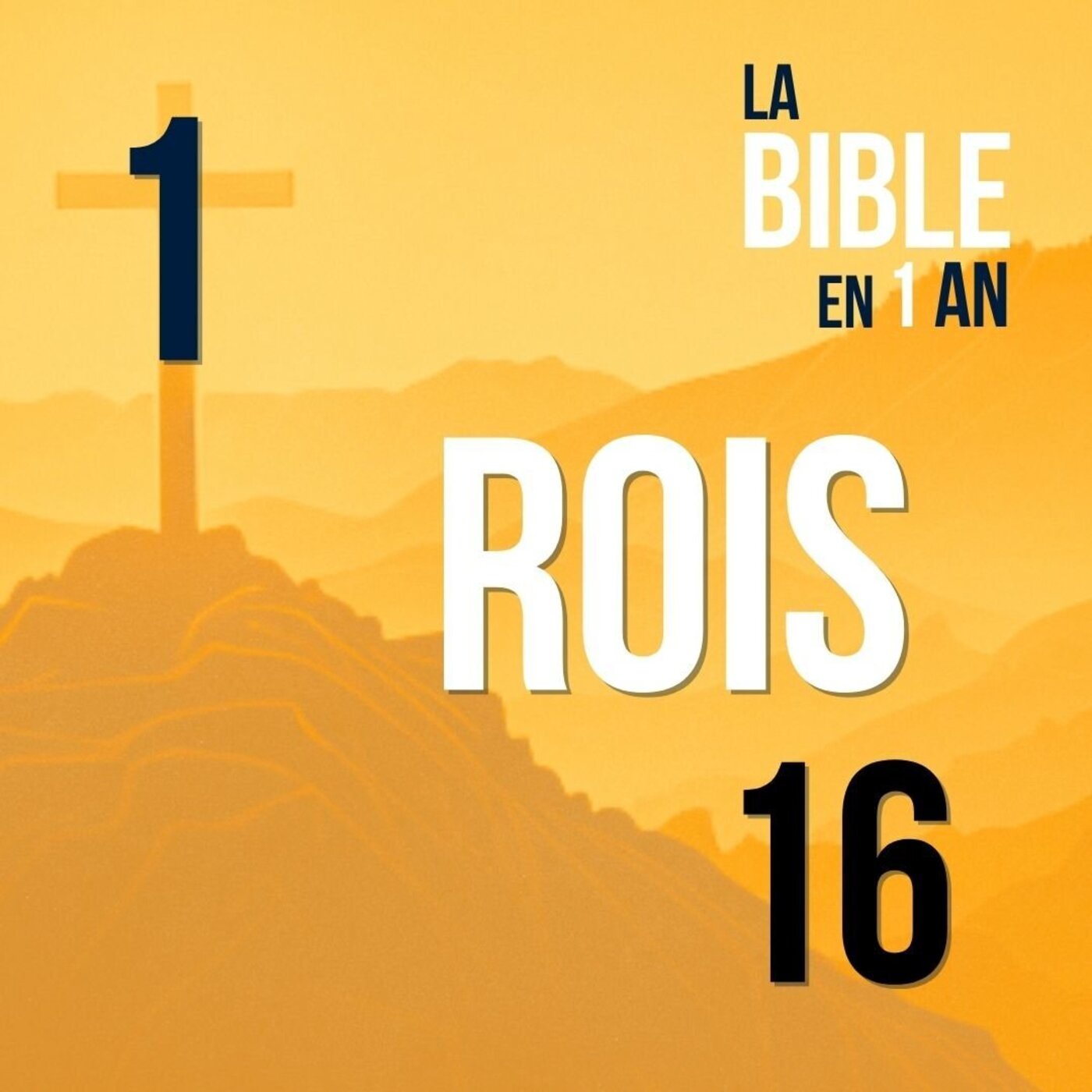 J143 - Israël au sommet... du pire ! - matin ☼