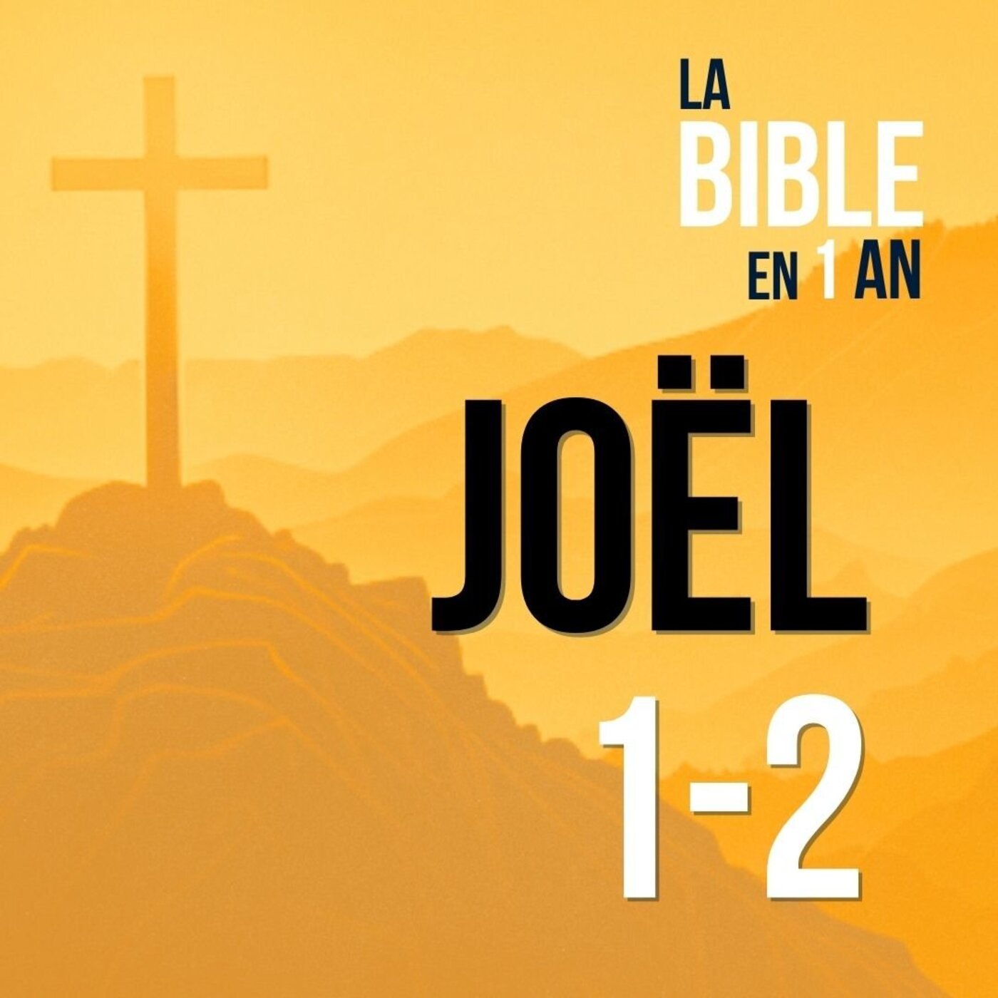 J143 - Joël : catastrophe et promesse de vie ! - soir ☾