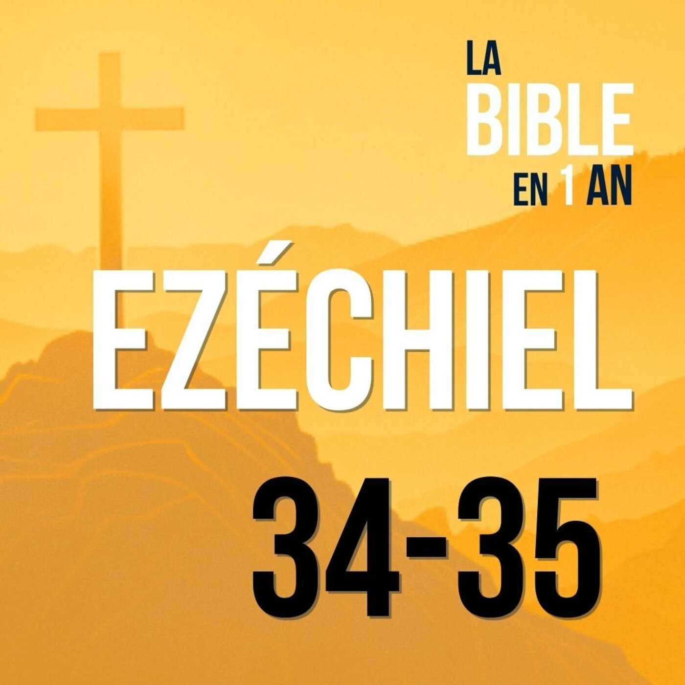 J211 - Le bon berger, c’est Dieu lui-même - matin ☼