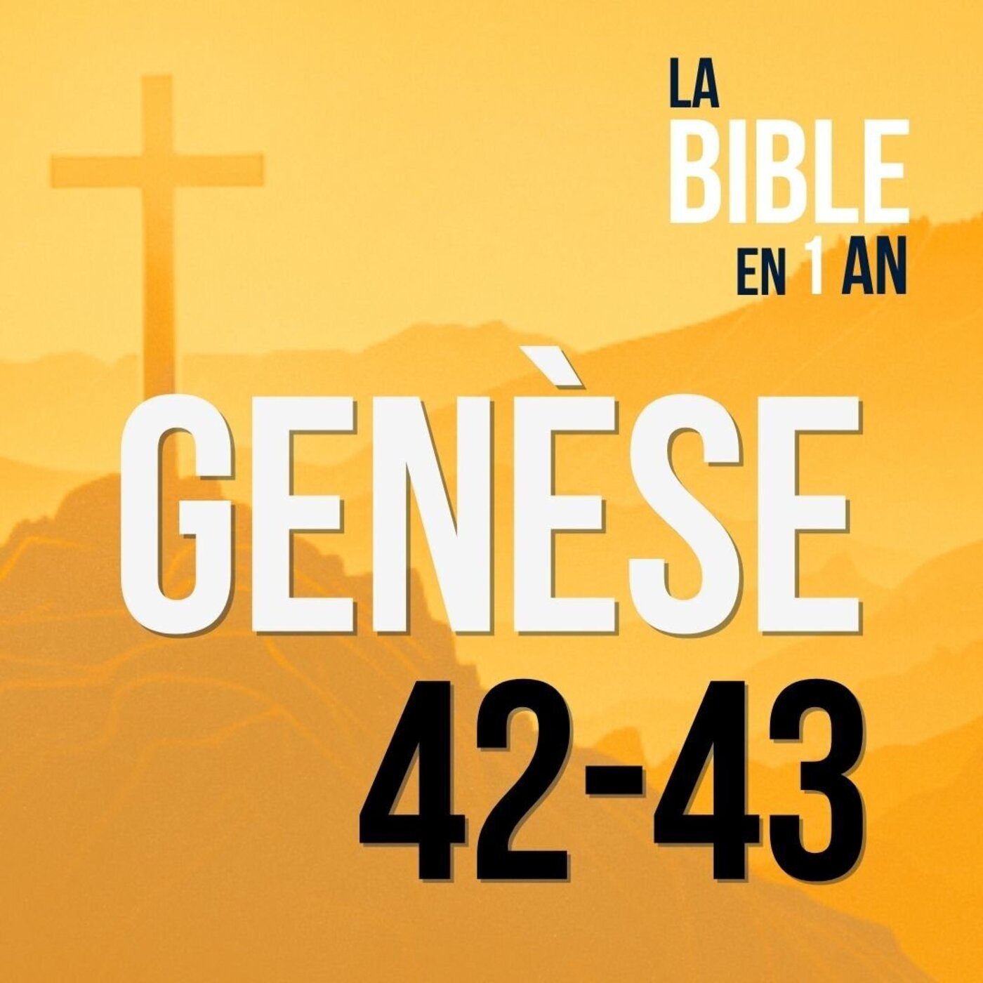 J22 - La rencontre des frères - matin ☼