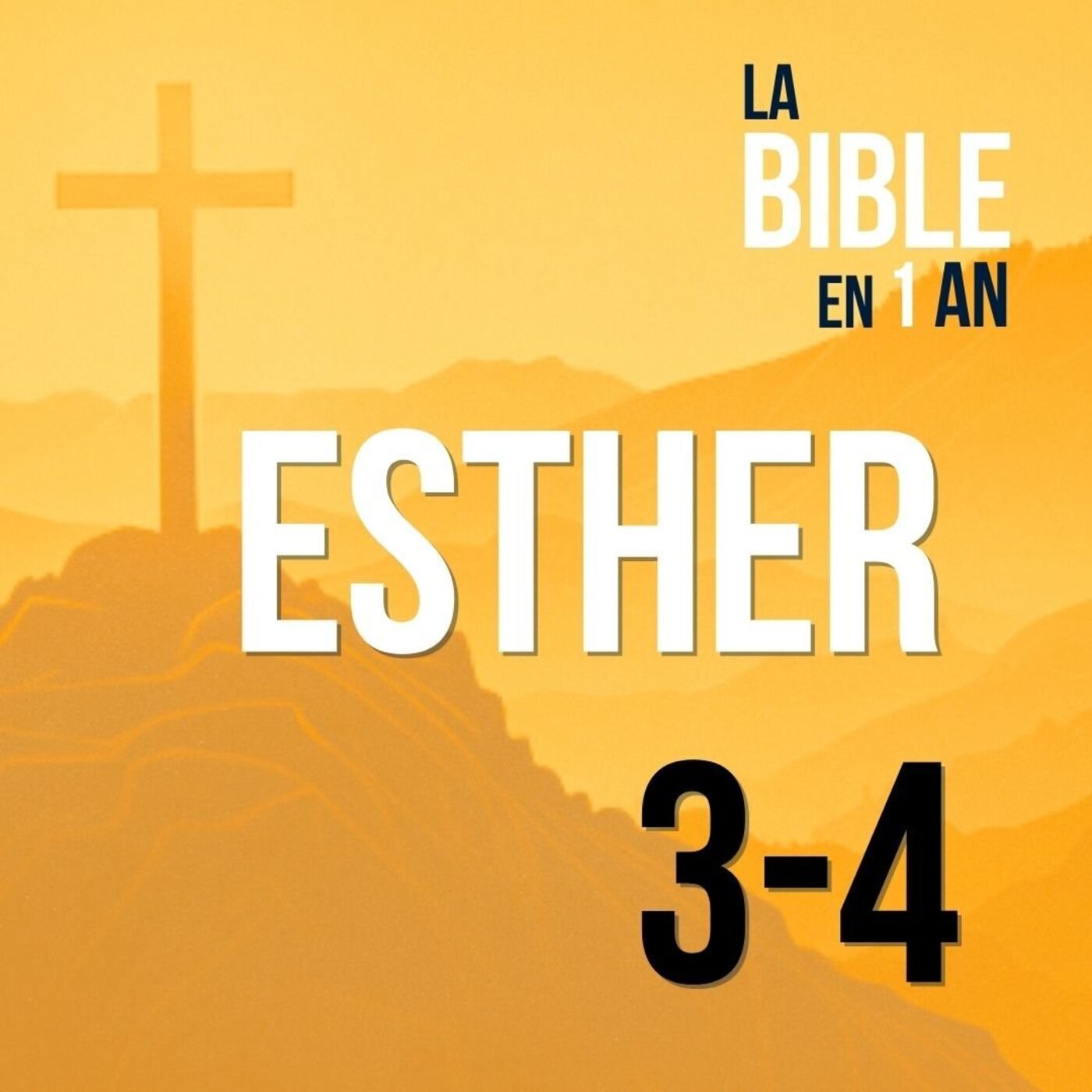 J227 - Un monstre sans cornes : Haman - matin ☼