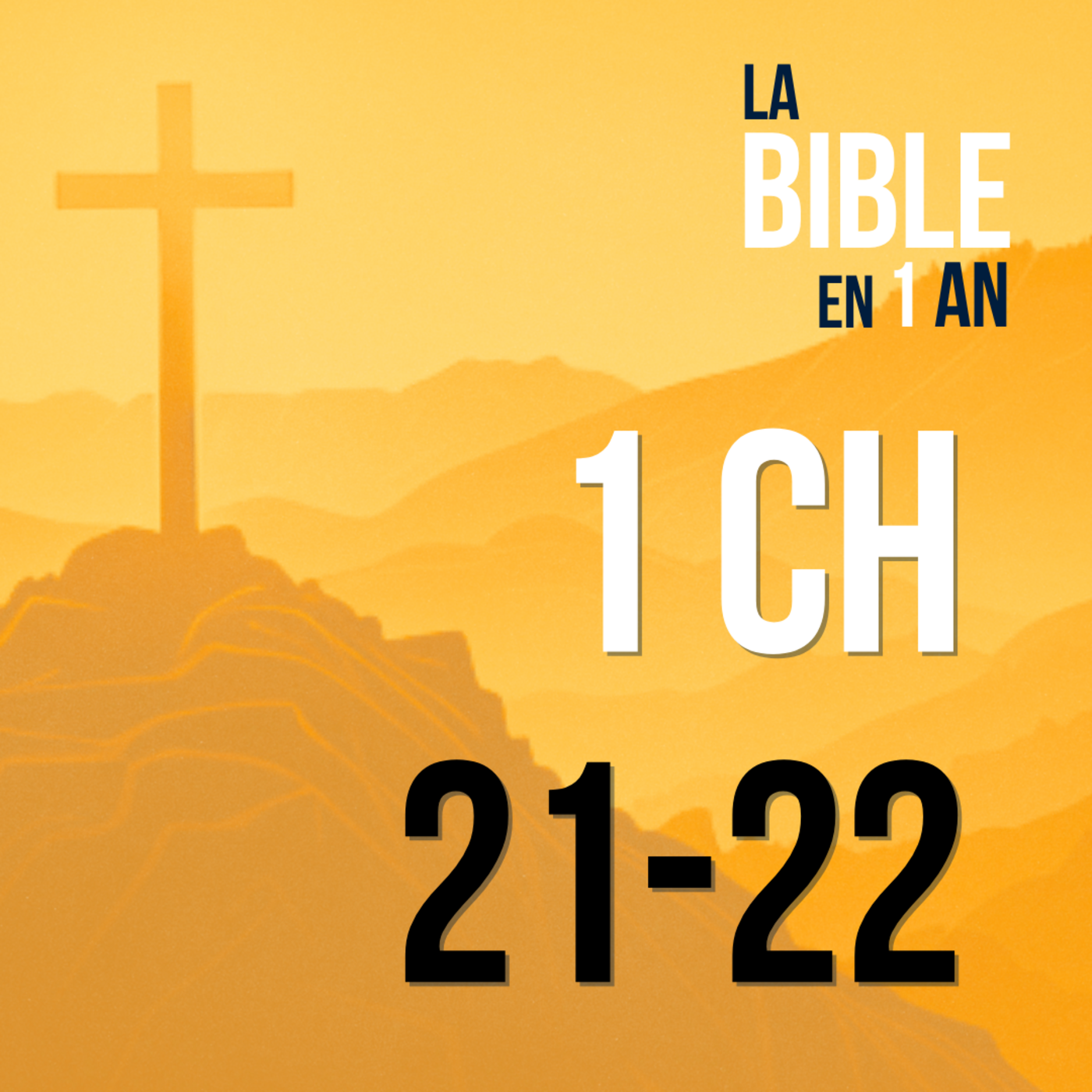 J247 - David : du pire au meilleur - matin ☼