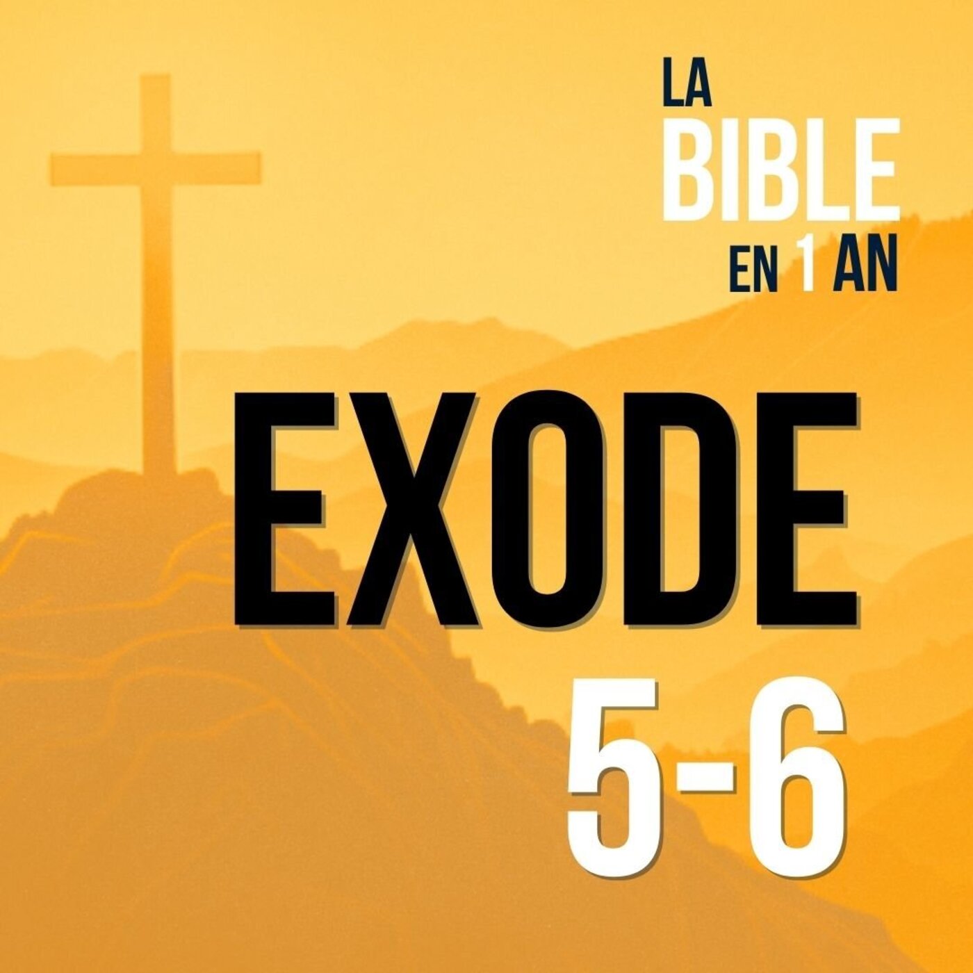 J28 - La promesse de délivrance face à l’oppression- soir ☾