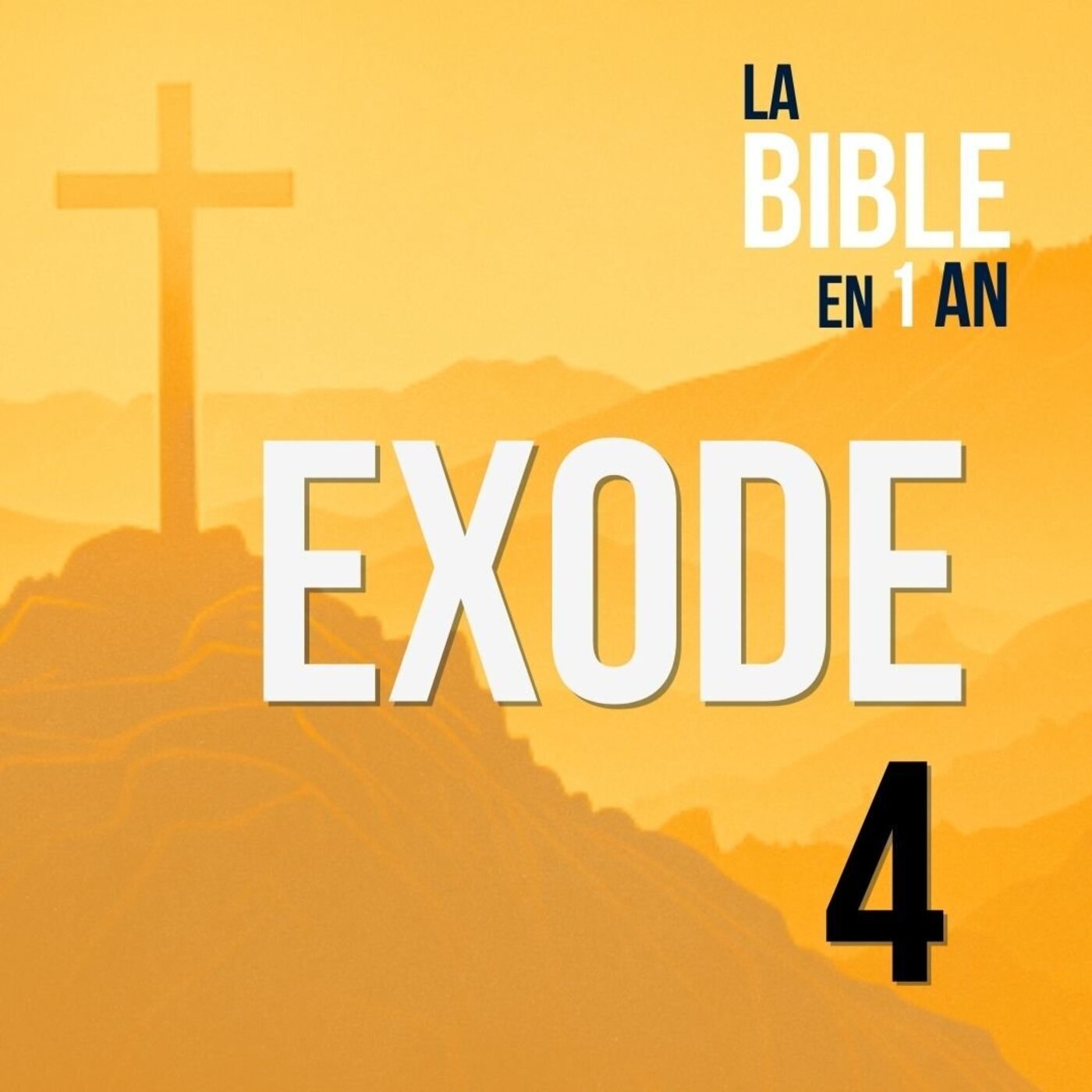 J28 - Moïse prêt pour l’Égypte - matin ☼