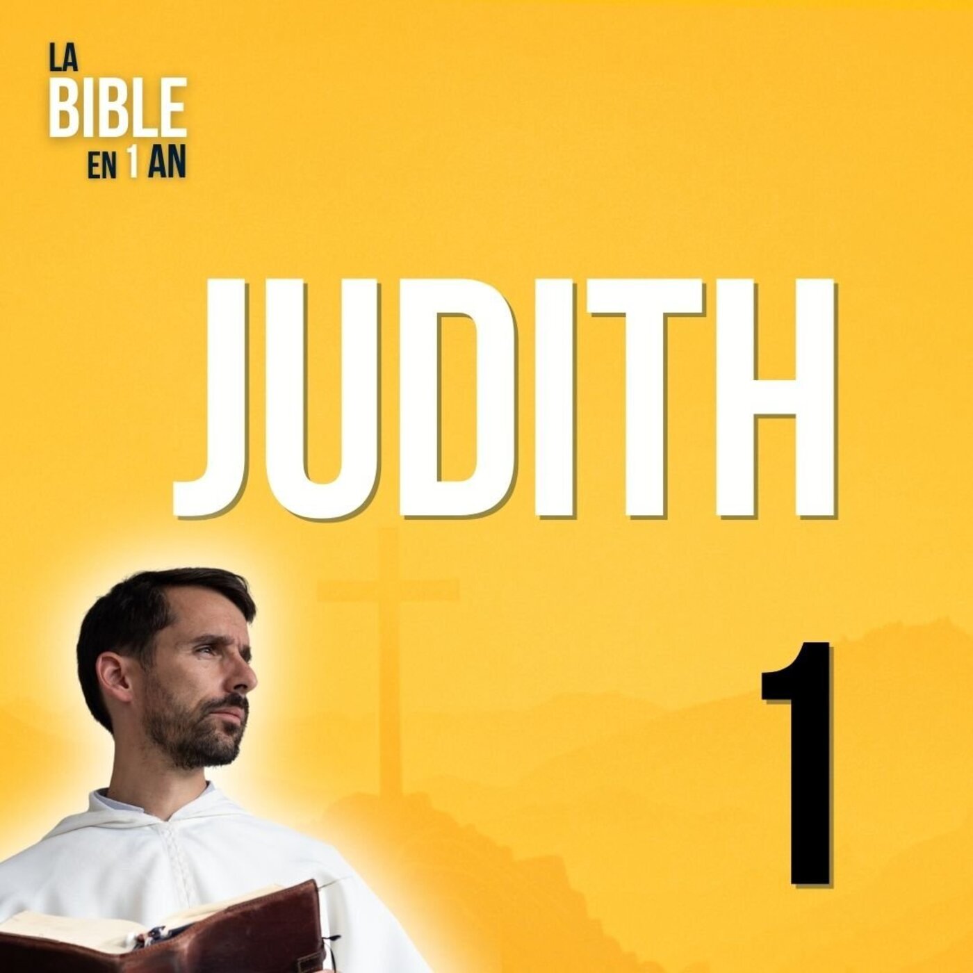 J288 - Nabuchodonosor, roi caricature - matin ☼