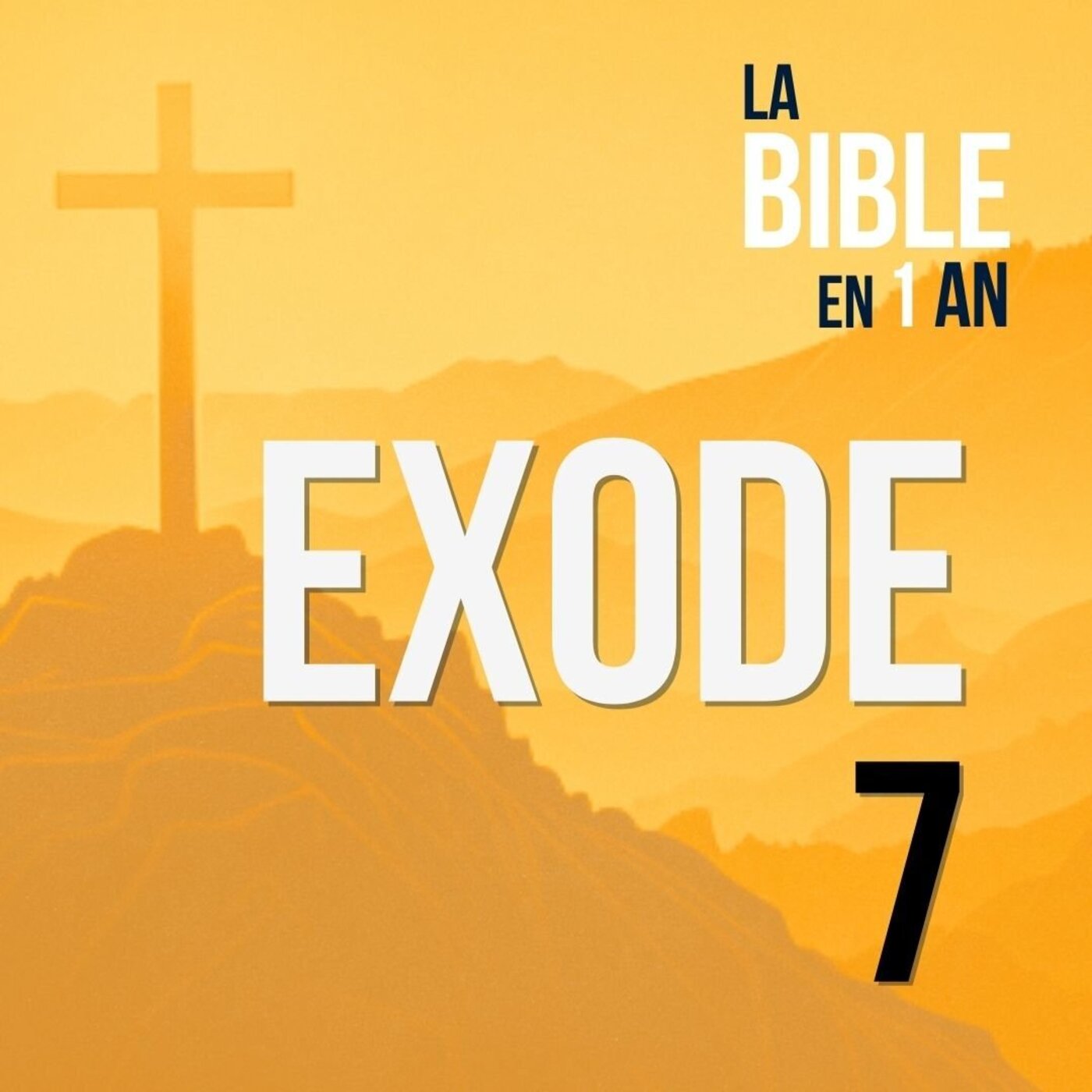 J29 - Le début des plaies d’Égypte - matin ☼