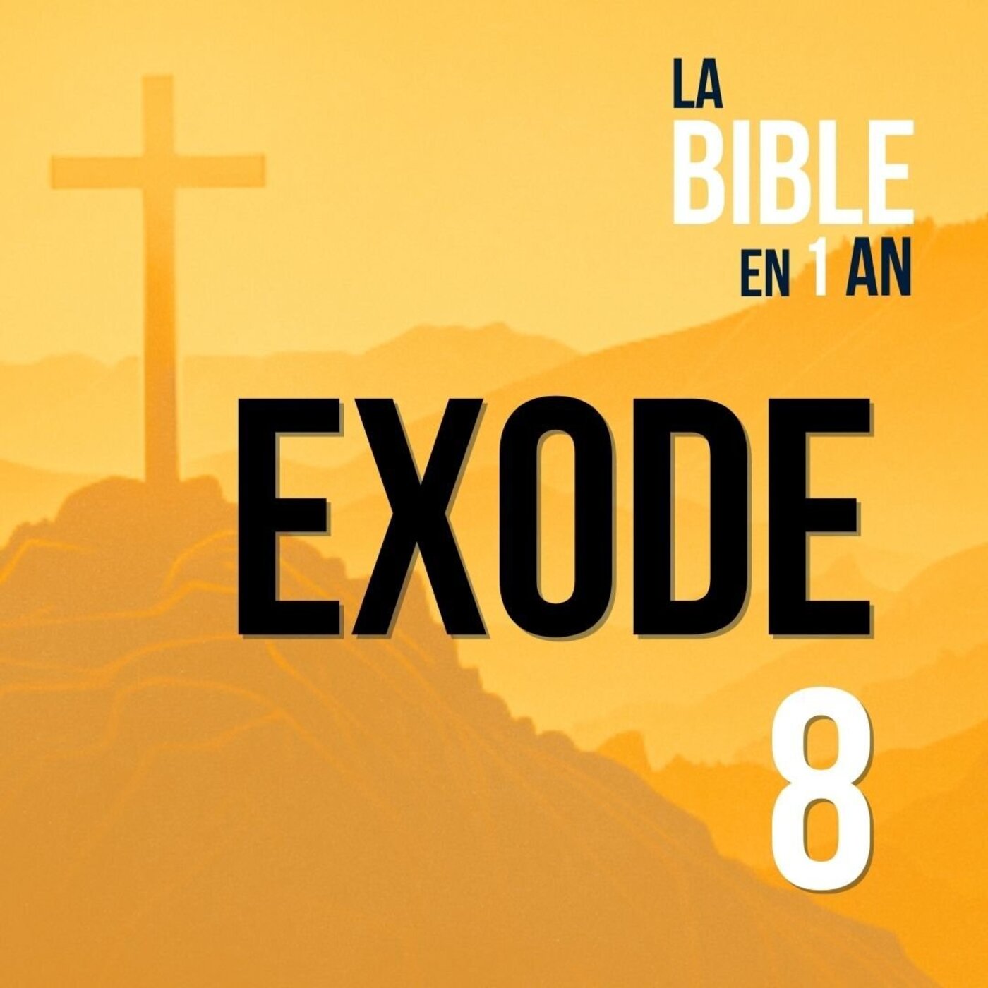 J29 - L’obstination de Pharaon - soir ☾