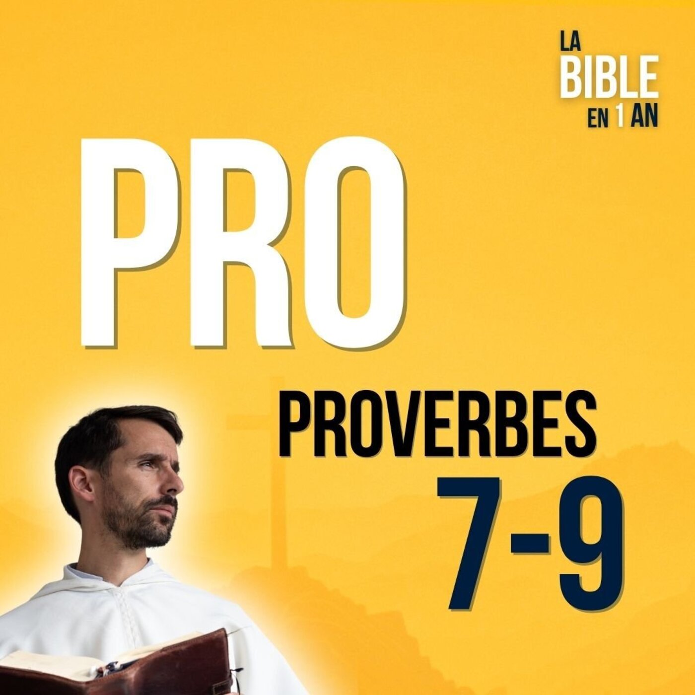 J293 - La sagesse bâtit sa maison - soir ☾