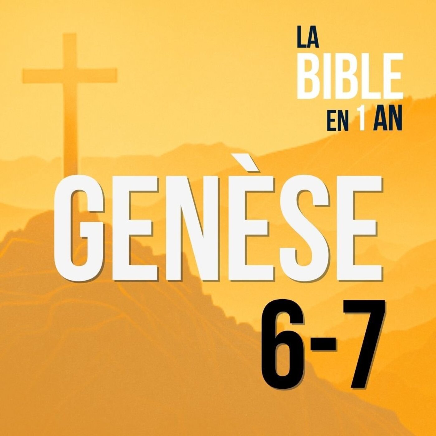 J3 -  L’arche de Noé - matin ☼