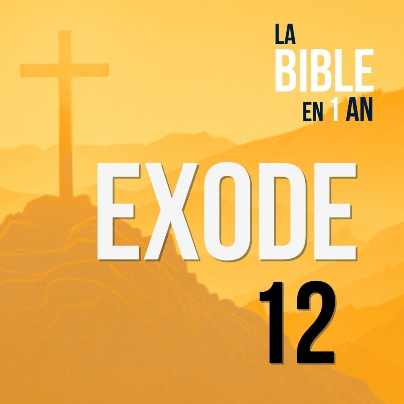 J31 - La nuit de la délivrance - matin ☼