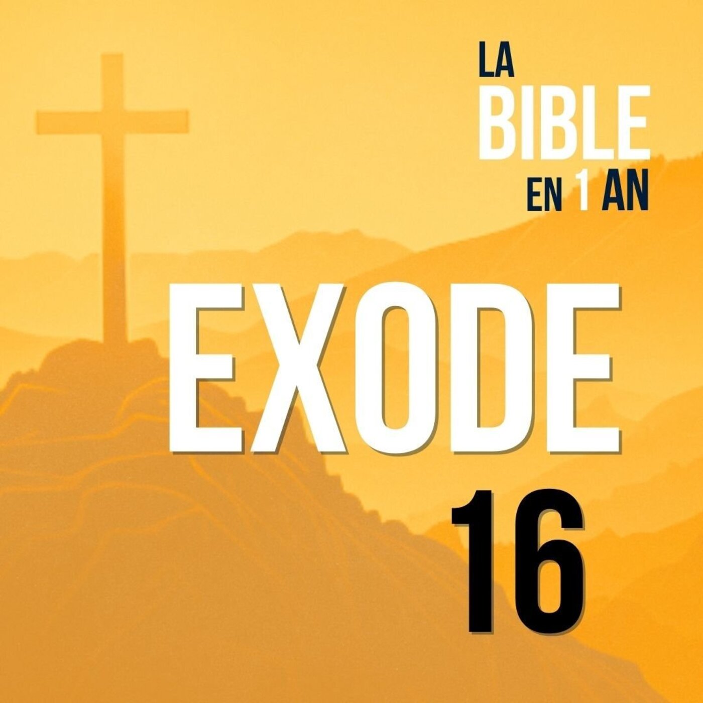 J33 - La manne du ciel - matin ☼