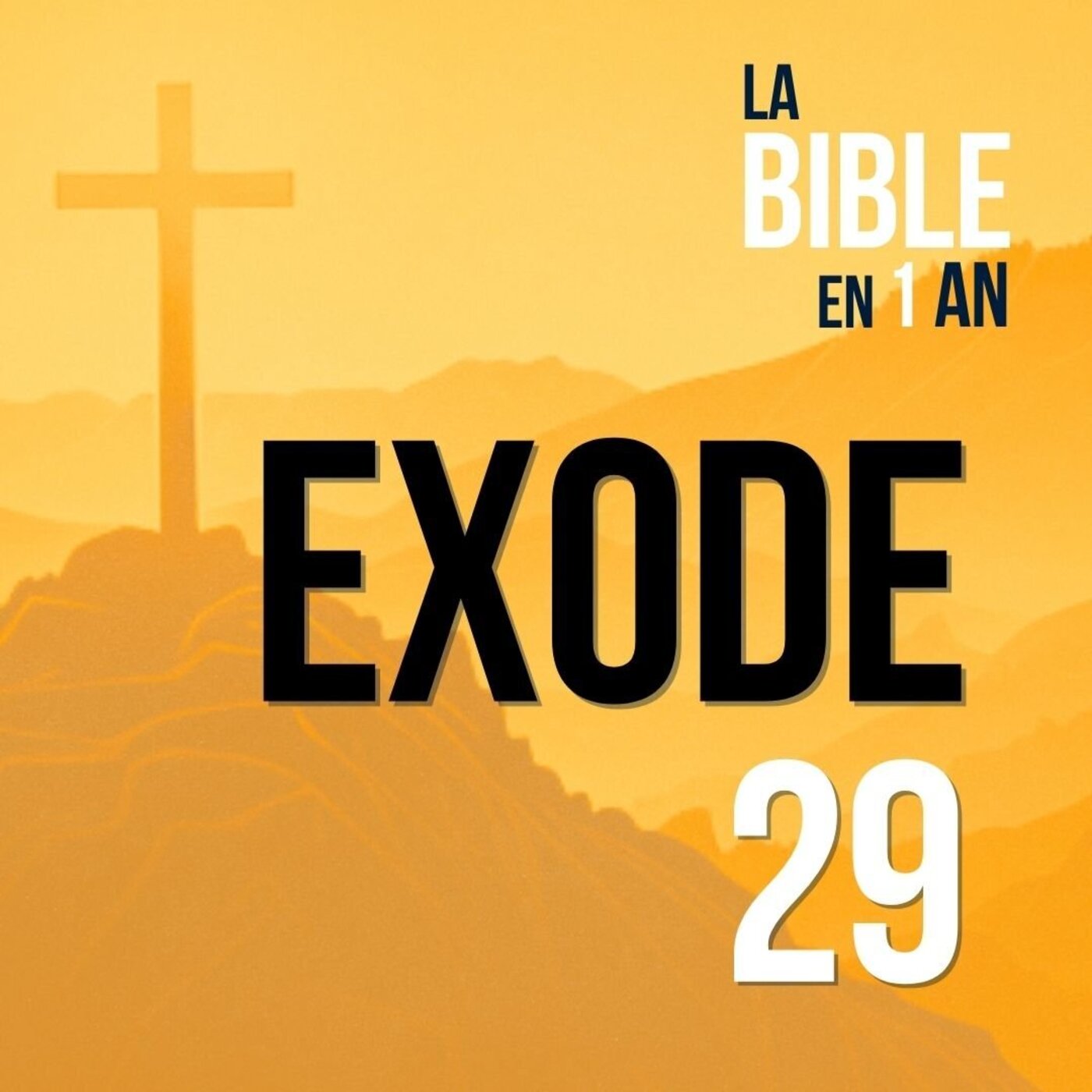 J37 - L'ordination sacrée des prêtres - soir ☾