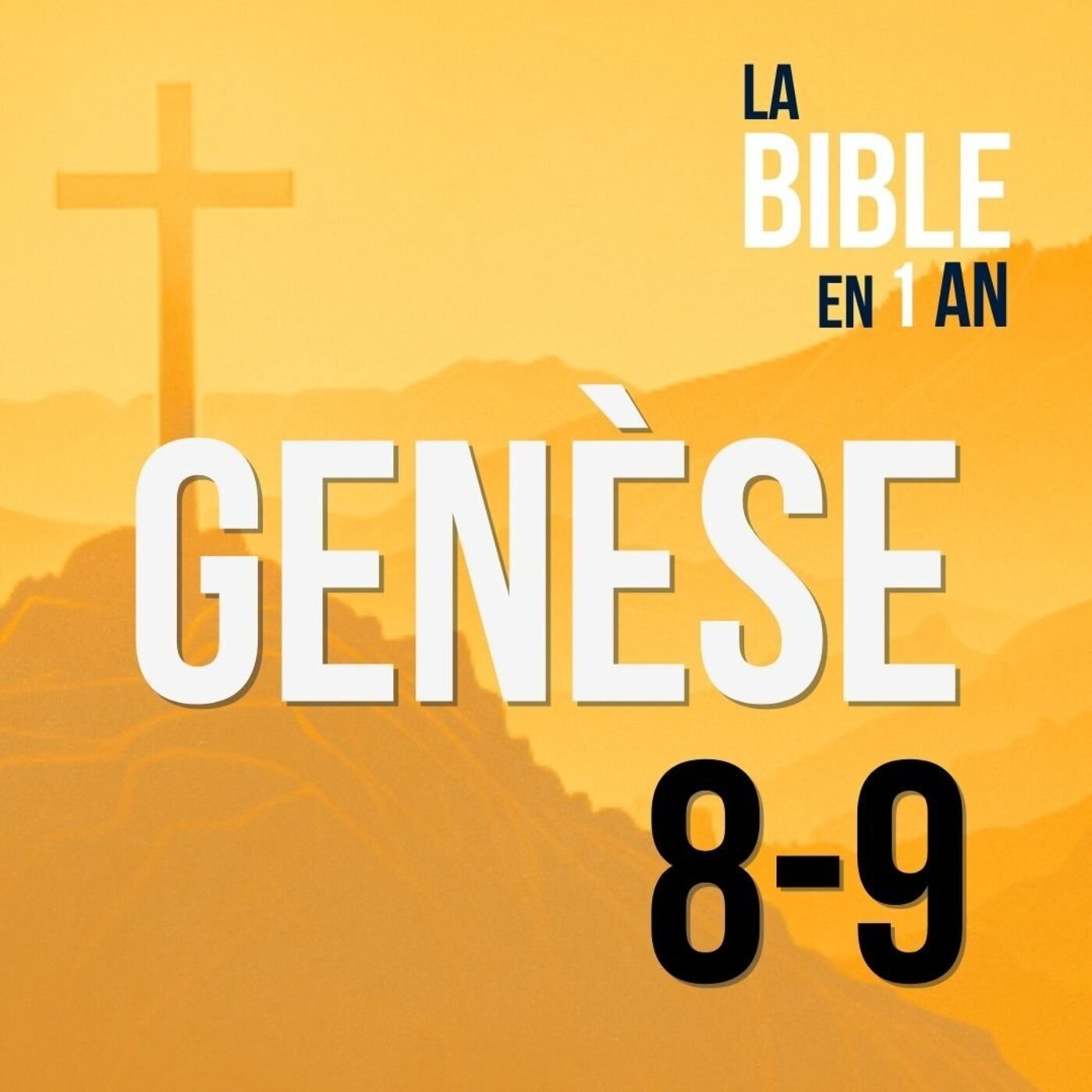 J4 -  L’arc-en-ciel - matin ☼