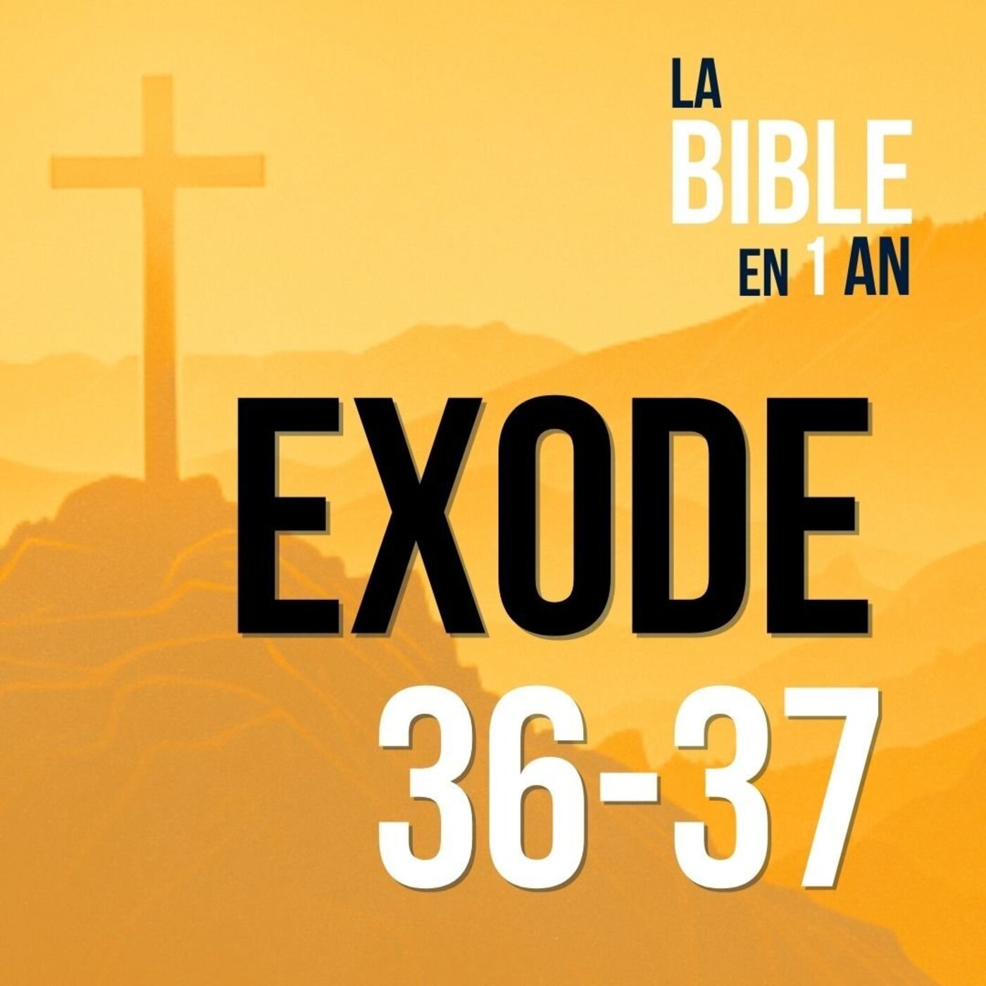 La Bible en un an : le podcast chrétien