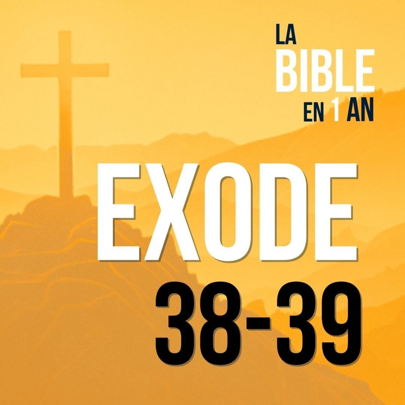 J41 - La splendeur du sanctuaire et des vêtements sacrés - matin ☼