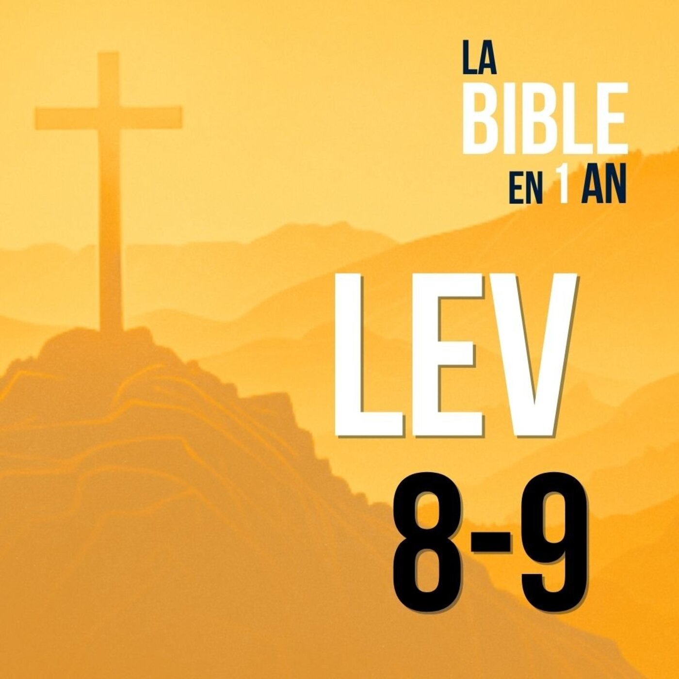 J44 - L'ordination des prêtres et l'inauguration du culte sacré - matin ☼