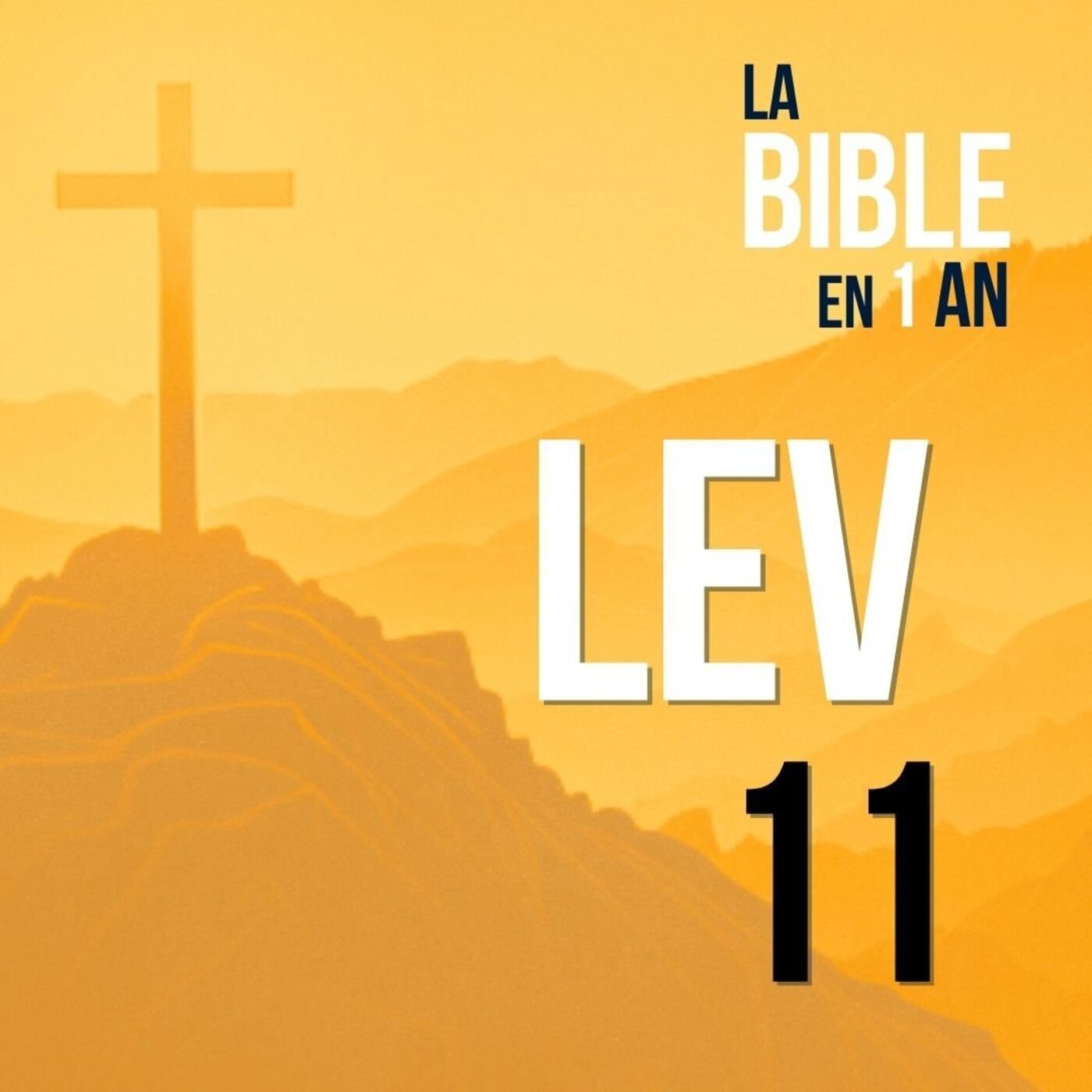 J45 - Les Lois Sacrées des aliments - matin ☼