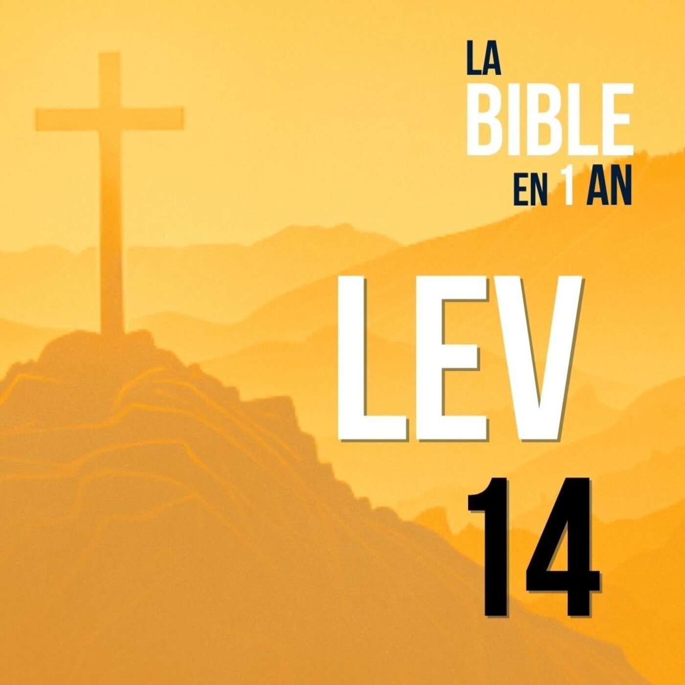 J46 - Le chemin de la guérison - matin ☼