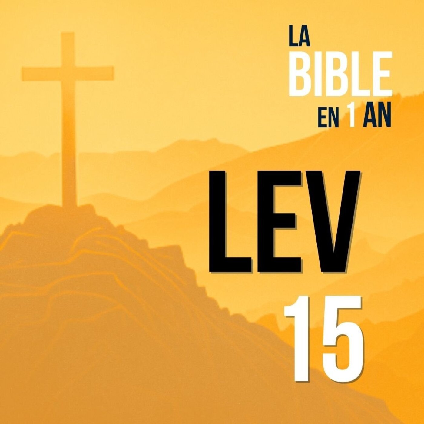 J46 - Un retour à la sainteté - soir ☾