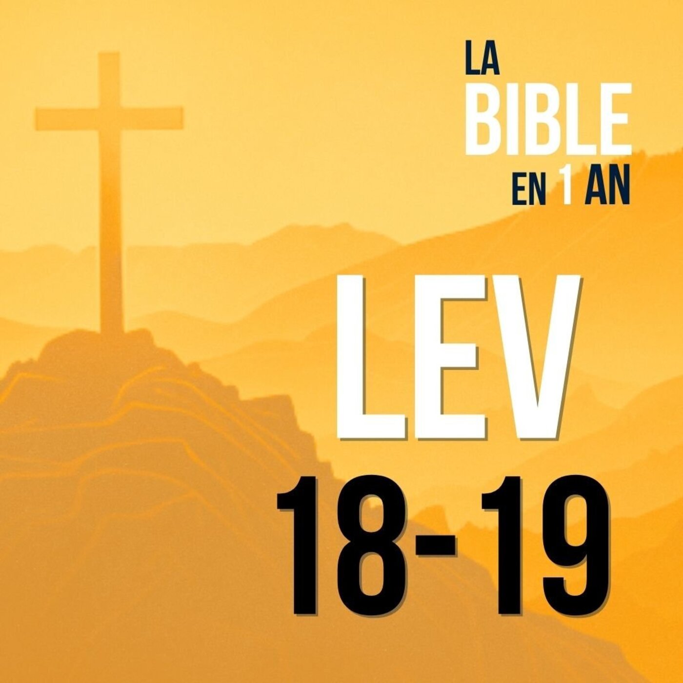 J48 - Lois de pureté et d’amour - matin ☼