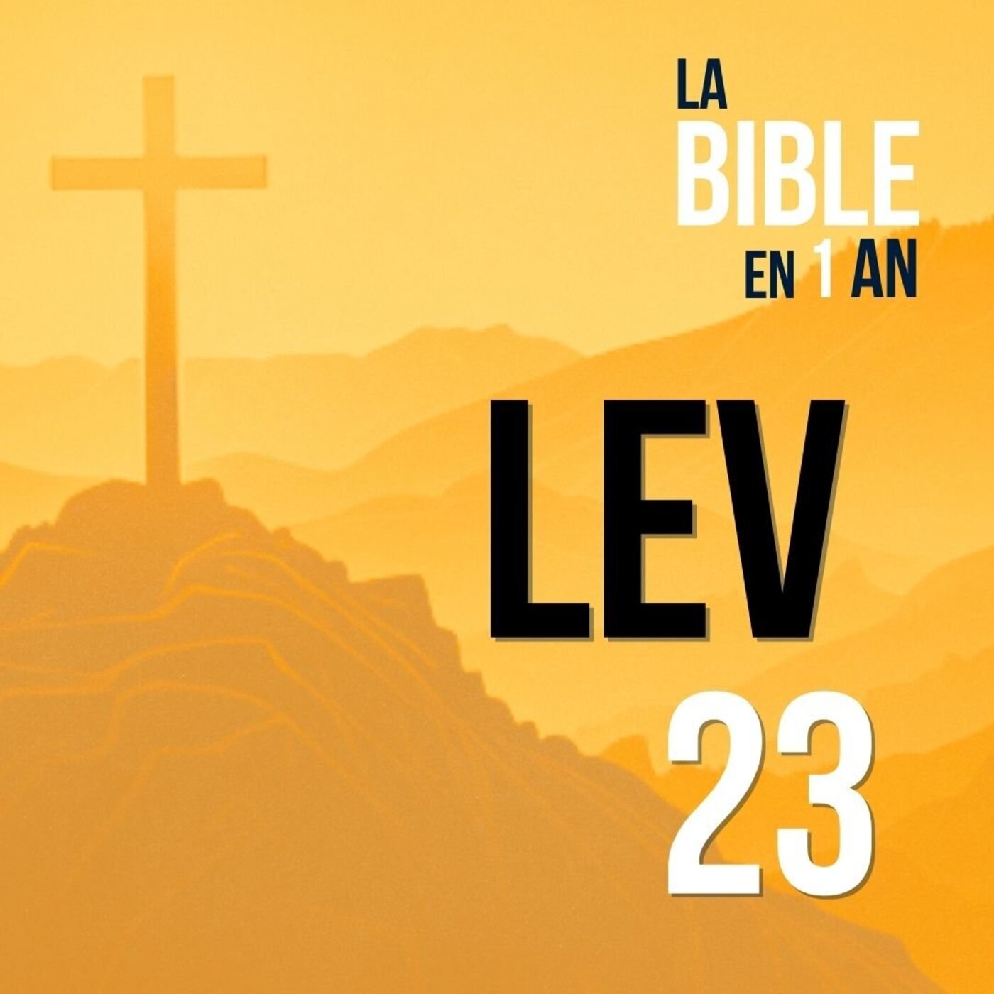 J49 - Les fêtes du Seigneur - soir ☾